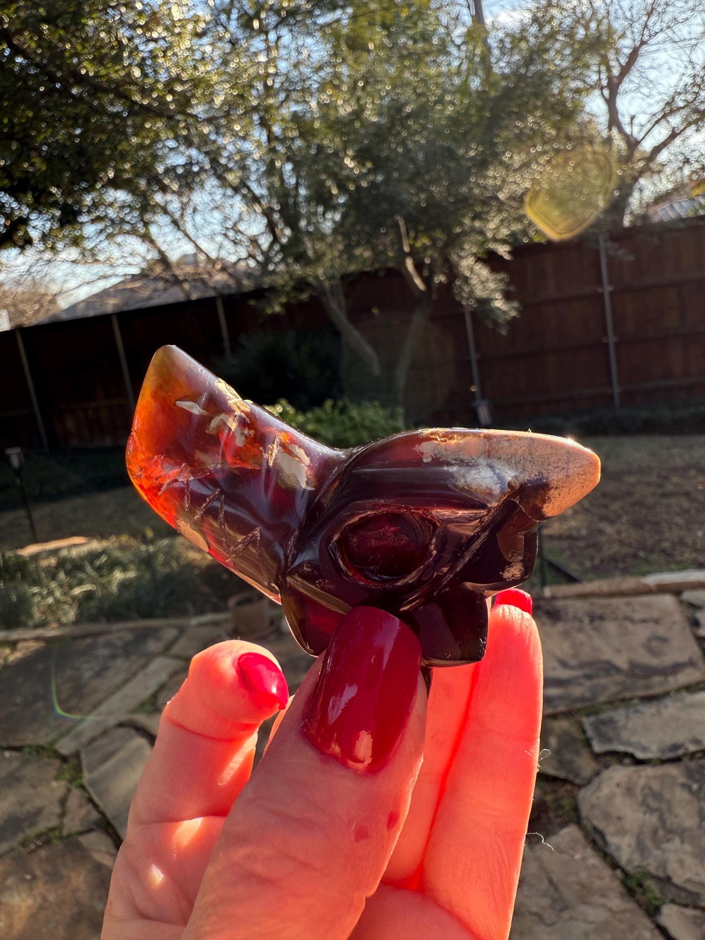 Amber Dragon 3”, Rare, Crystal Healing, High Vibration Crystals, altar, gift, authentic amber