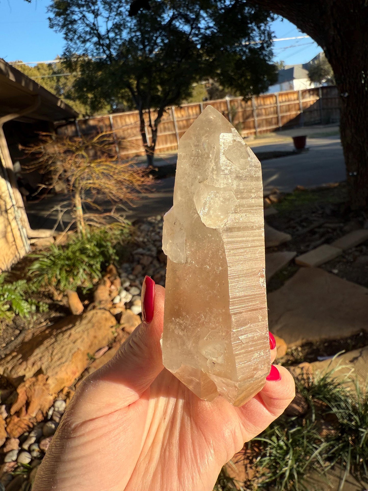 Rare Record Keeper Gold Lemurian, new, high quality, 5”, crystal healing, gift
