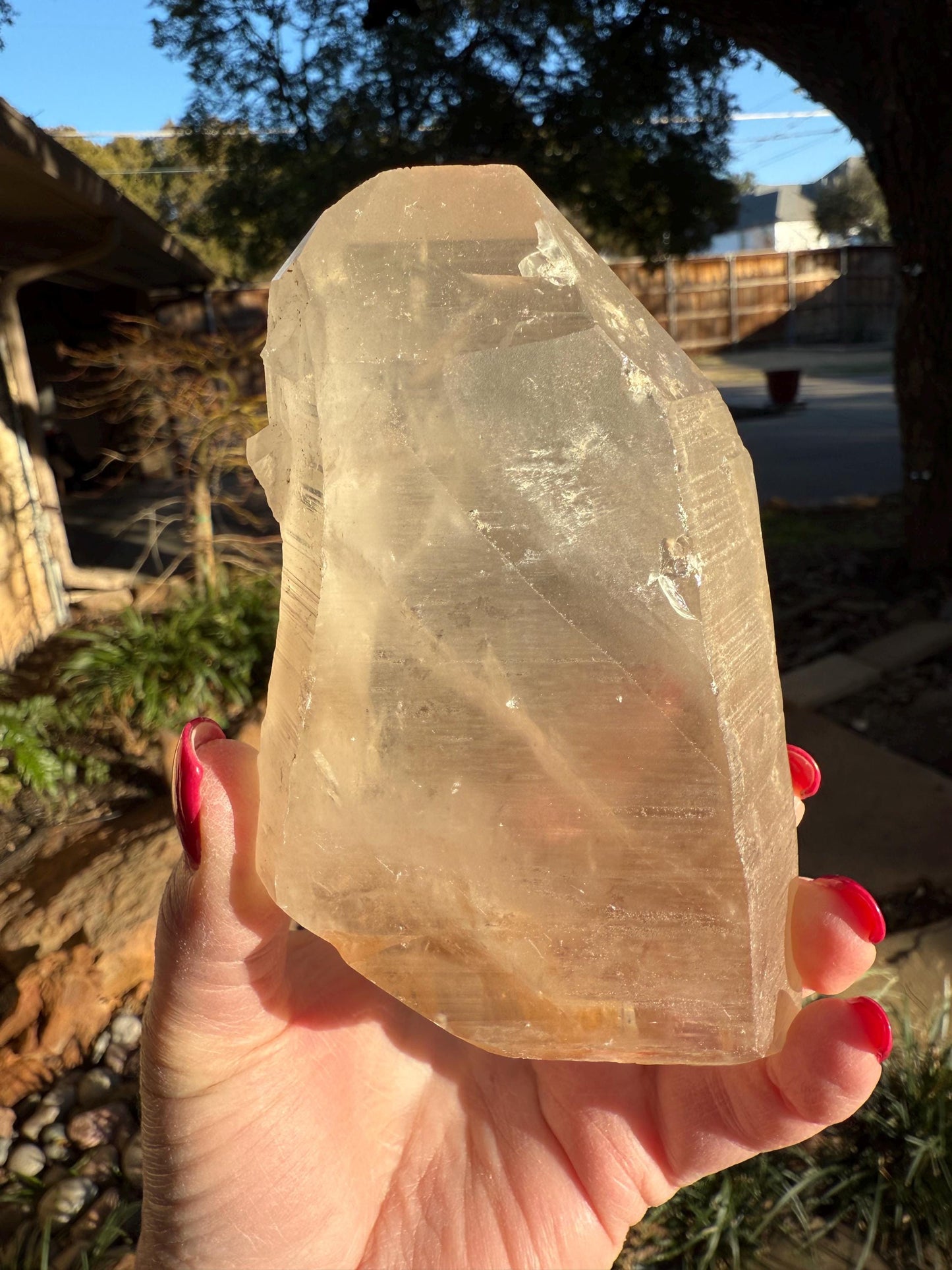 Rare Record Keeper Gold Lemurian, new, high quality, 5”, crystal healing, gift