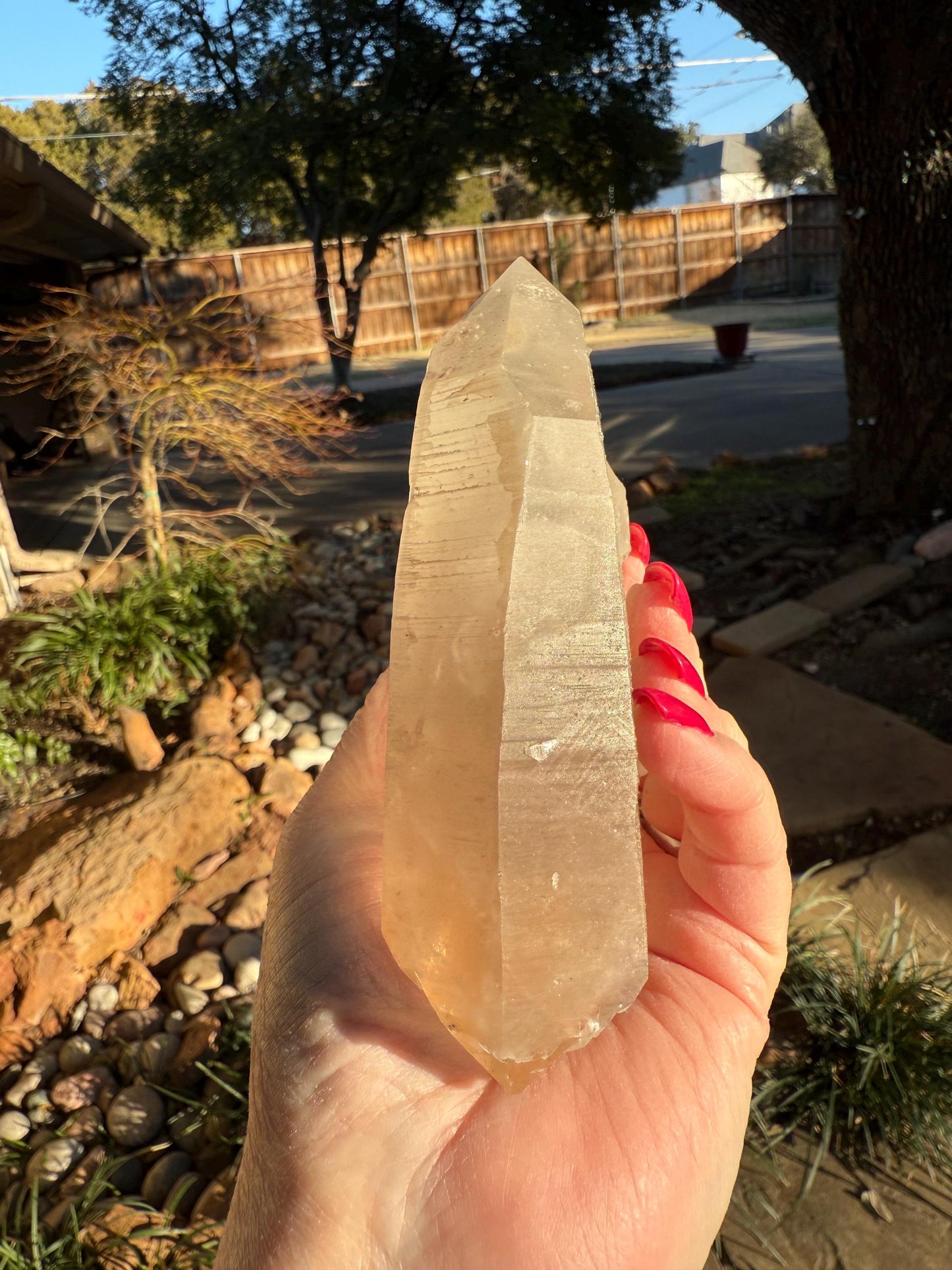 Rare Record Keeper Gold Lemurian, new, high quality, 5”, crystal healing, gift