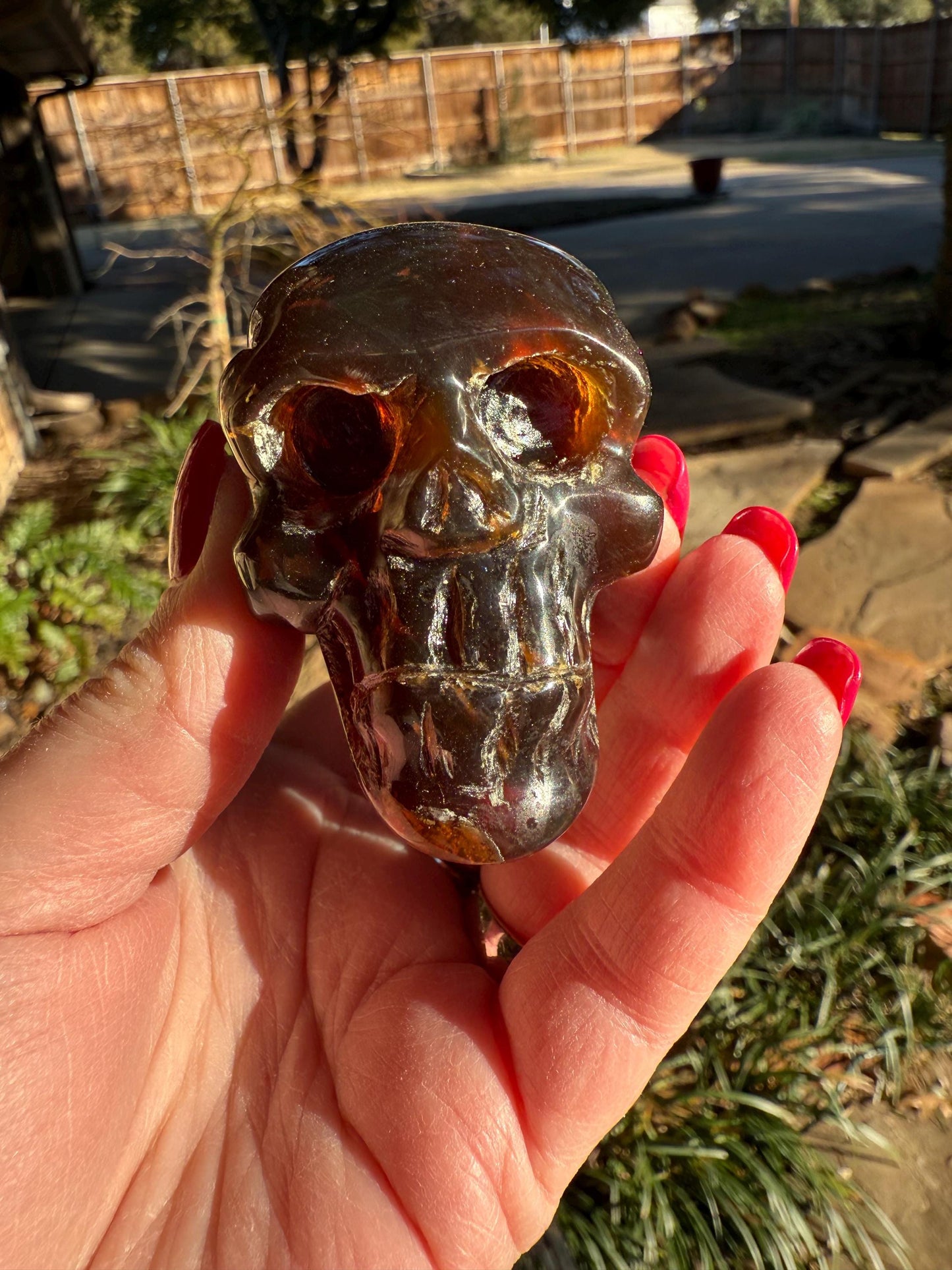 Amber Skull 2.25”, New, Crystal Healing, High Vibration Crystals, altar, gift, authentic amber