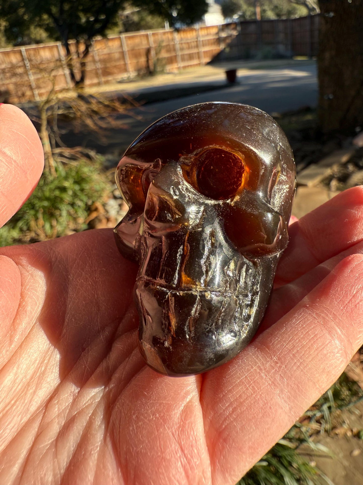 Amber Skull 2.25”, New, Crystal Healing, High Vibration Crystals, altar, gift, authentic amber