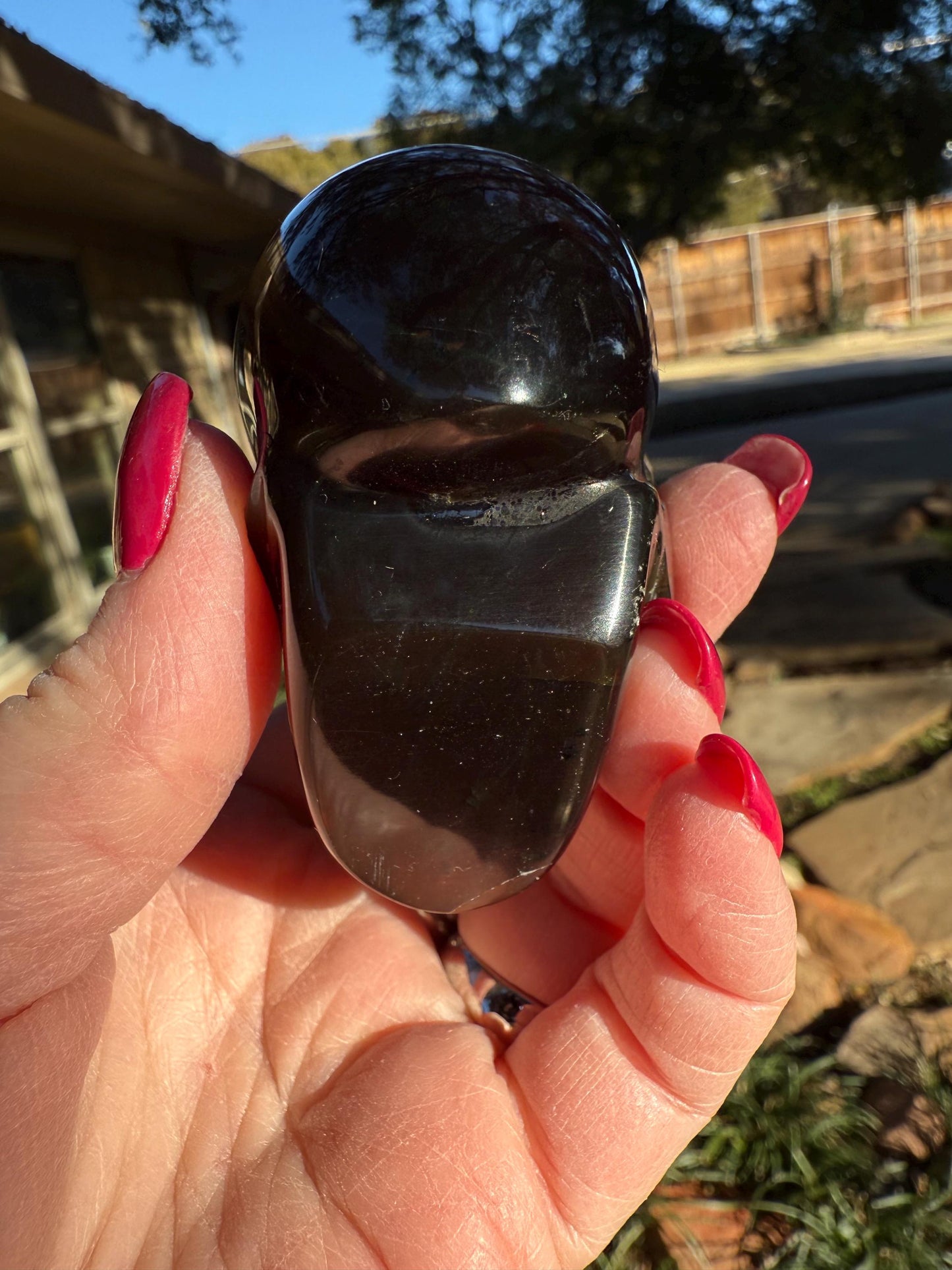 Amber Skull 2.25”, New, Crystal Healing, High Vibration Crystals, altar, gift, authentic amber