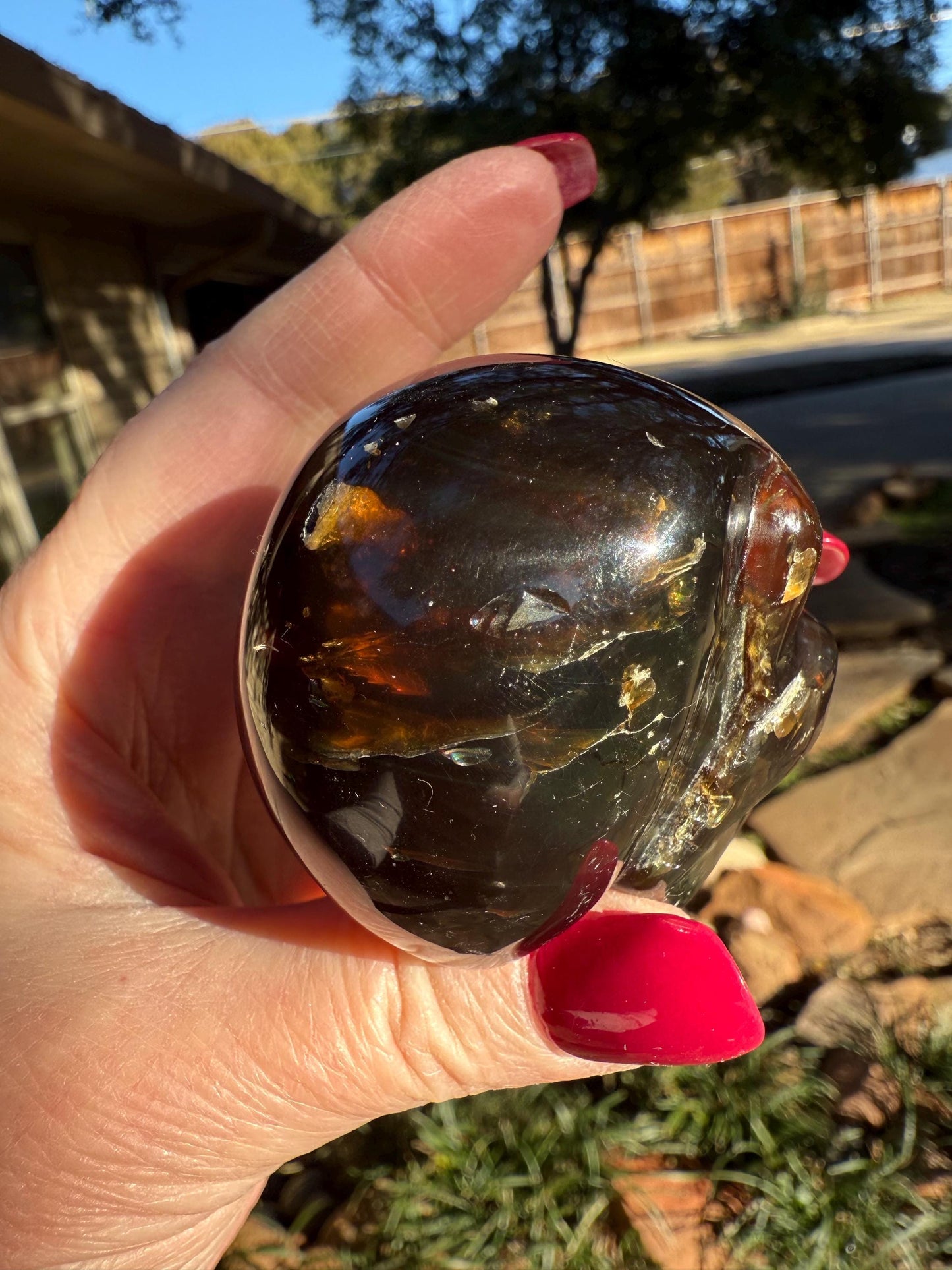 Amber Skull 2.25”, New, Crystal Healing, High Vibration Crystals, altar, gift, authentic amber