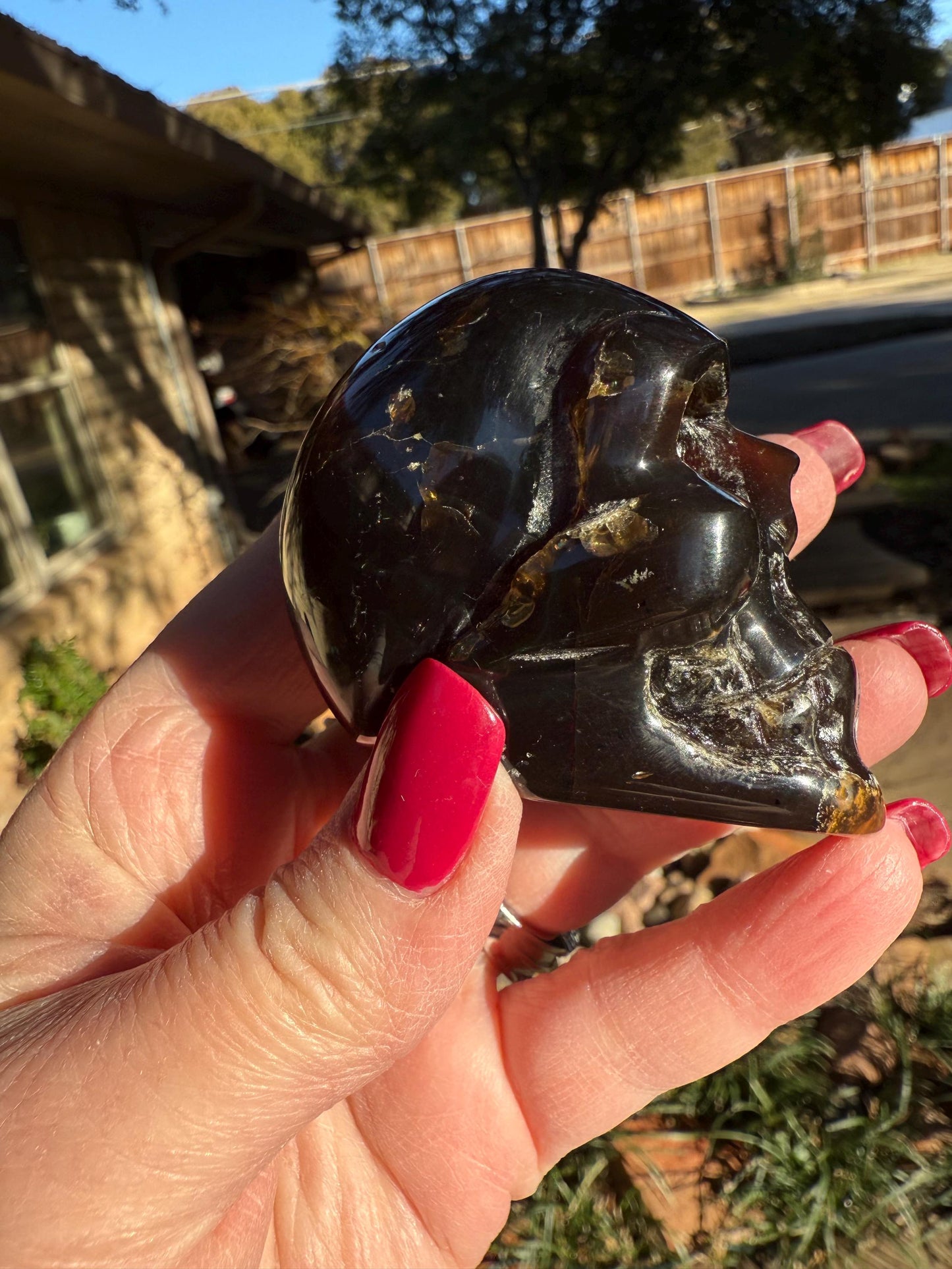 Amber Skull 2.25”, New, Crystal Healing, High Vibration Crystals, altar, gift, authentic amber