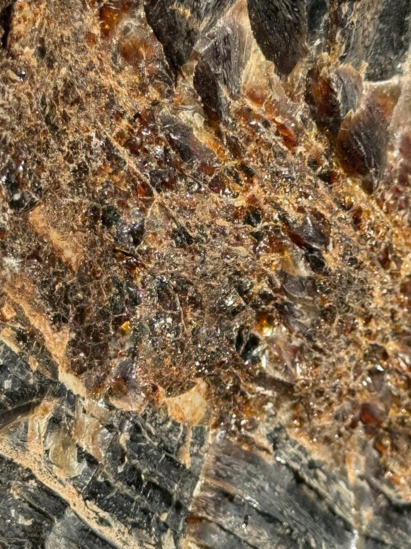 Jumbo stunning raw amber chunk, New, altar, gift, high vibration crystals, natural, crystal healing, 9.5 ounces, 4.5”