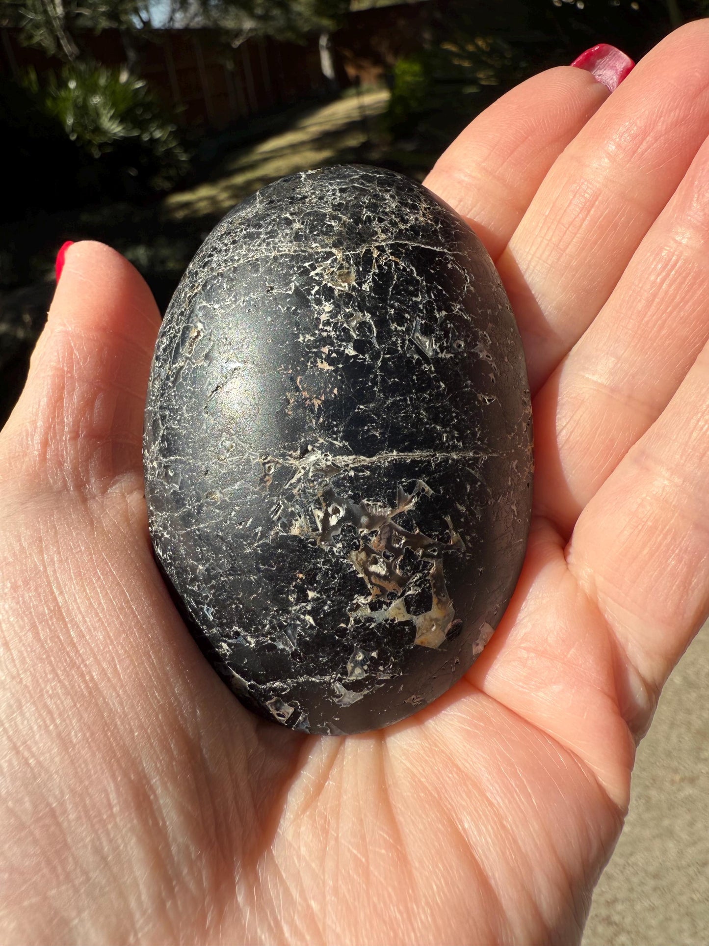 Black Tourmaline palm stone, 3x2”, gifts, high vibration crystals, healing crystal