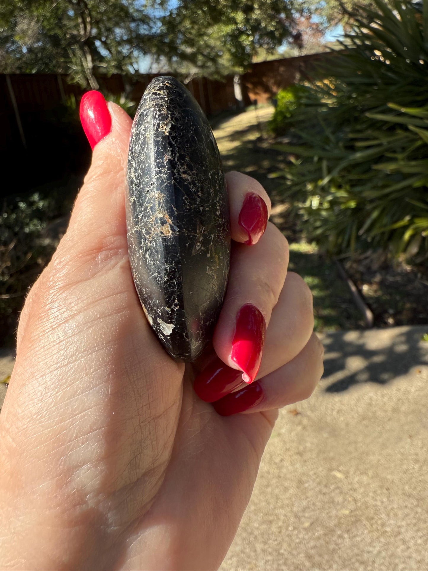 Black Tourmaline palm stone, 3x2”, gifts, high vibration crystals, healing crystal