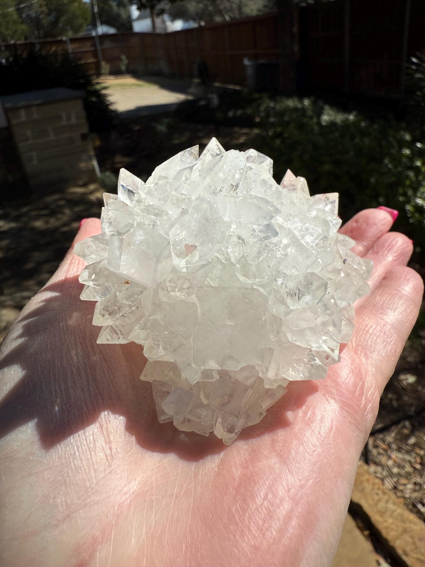 Apophyllite Fairy Hedgehog Rosette Bed with points like diamonds, new, high vibration crystals, gifts, altar, 3.5”