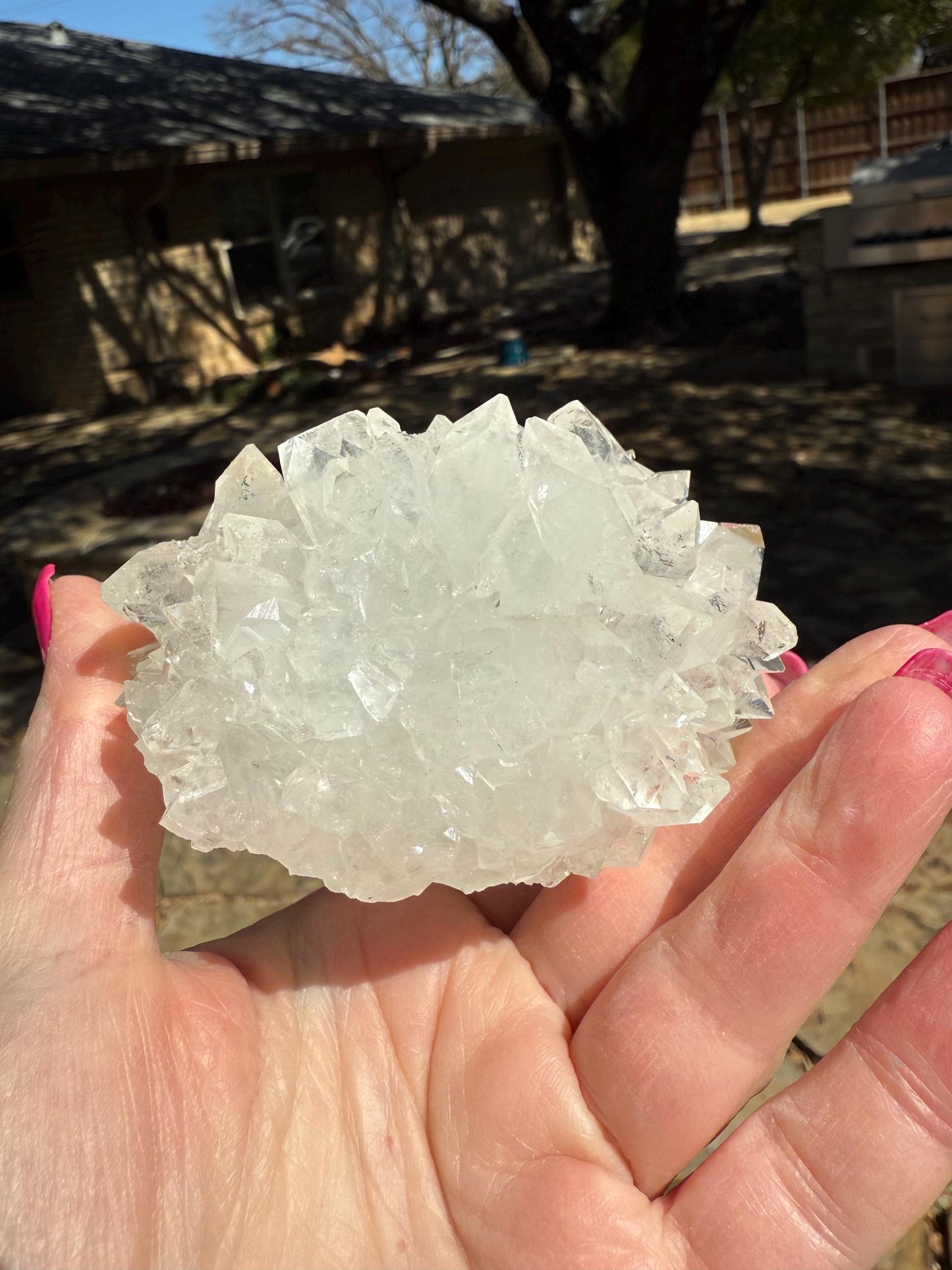 Apophyllite Fairy Hedgehog Rosette Bed with points like diamonds, new, high vibration crystals, gifts, altar, 3.5”