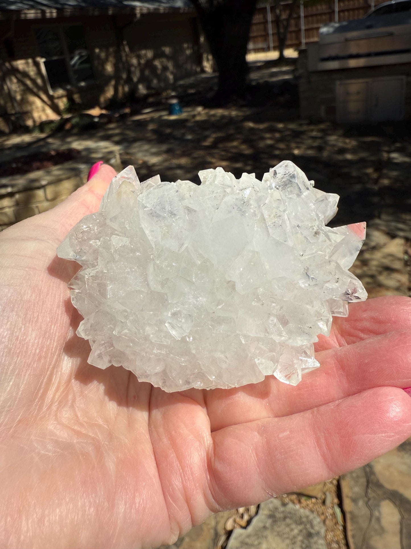 Apophyllite Fairy Hedgehog Rosette Bed with points like diamonds, new, high vibration crystals, gifts, altar, 3.5”