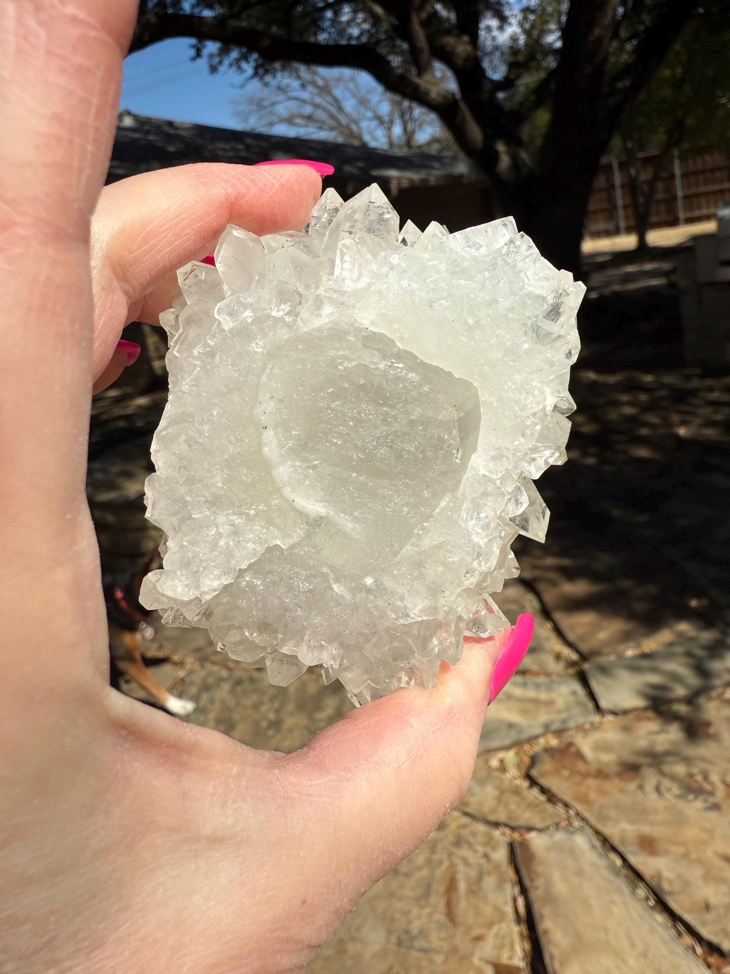Apophyllite Fairy Hedgehog Rosette Bed with points like diamonds, new, high vibration crystals, gifts, altar, 3.5”