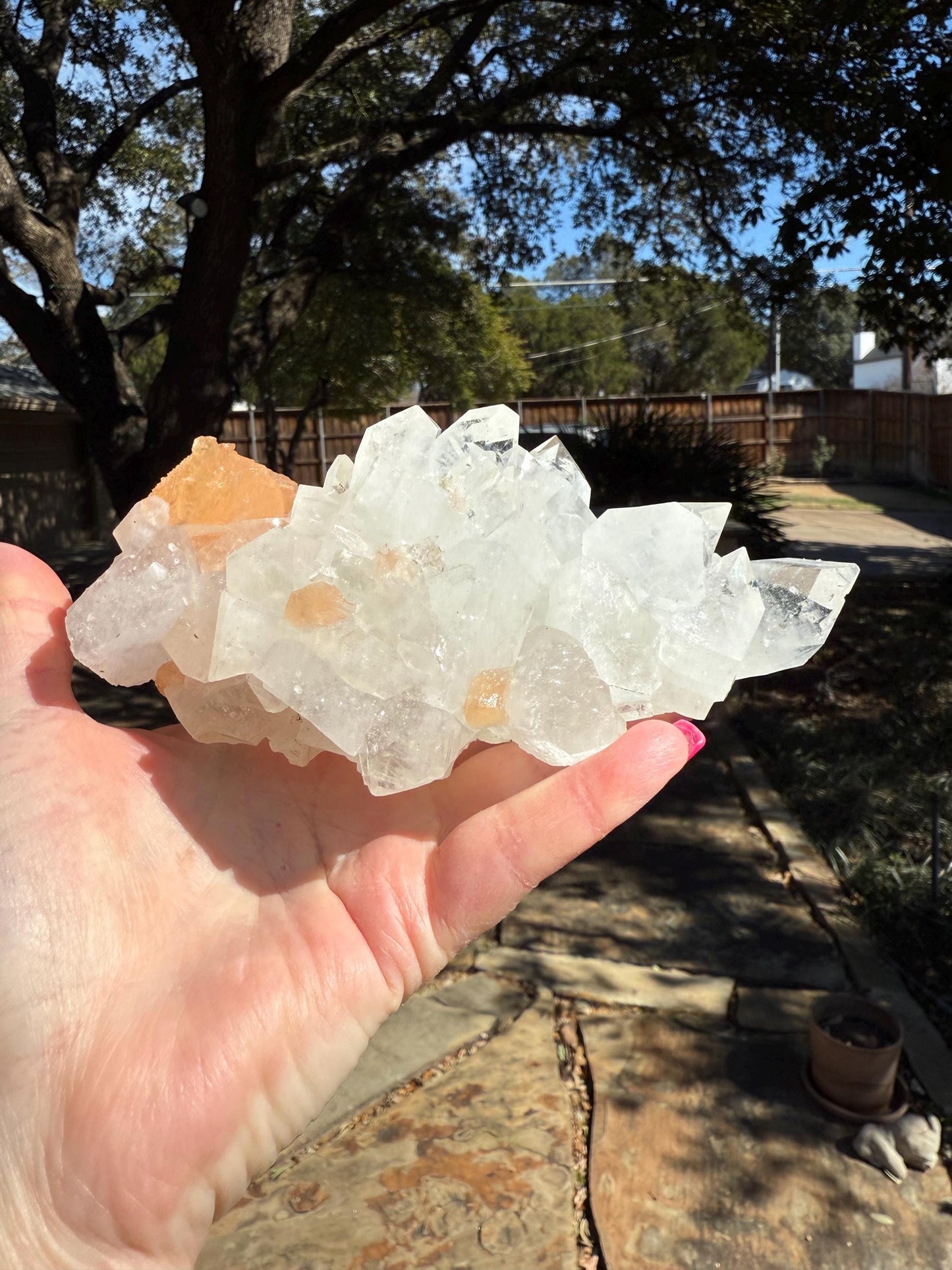 Extra Large Apophyllite Fairy Bed with points like diamonds, peach stilbite, new, high vibration crystals, gift, altar, 6.25”