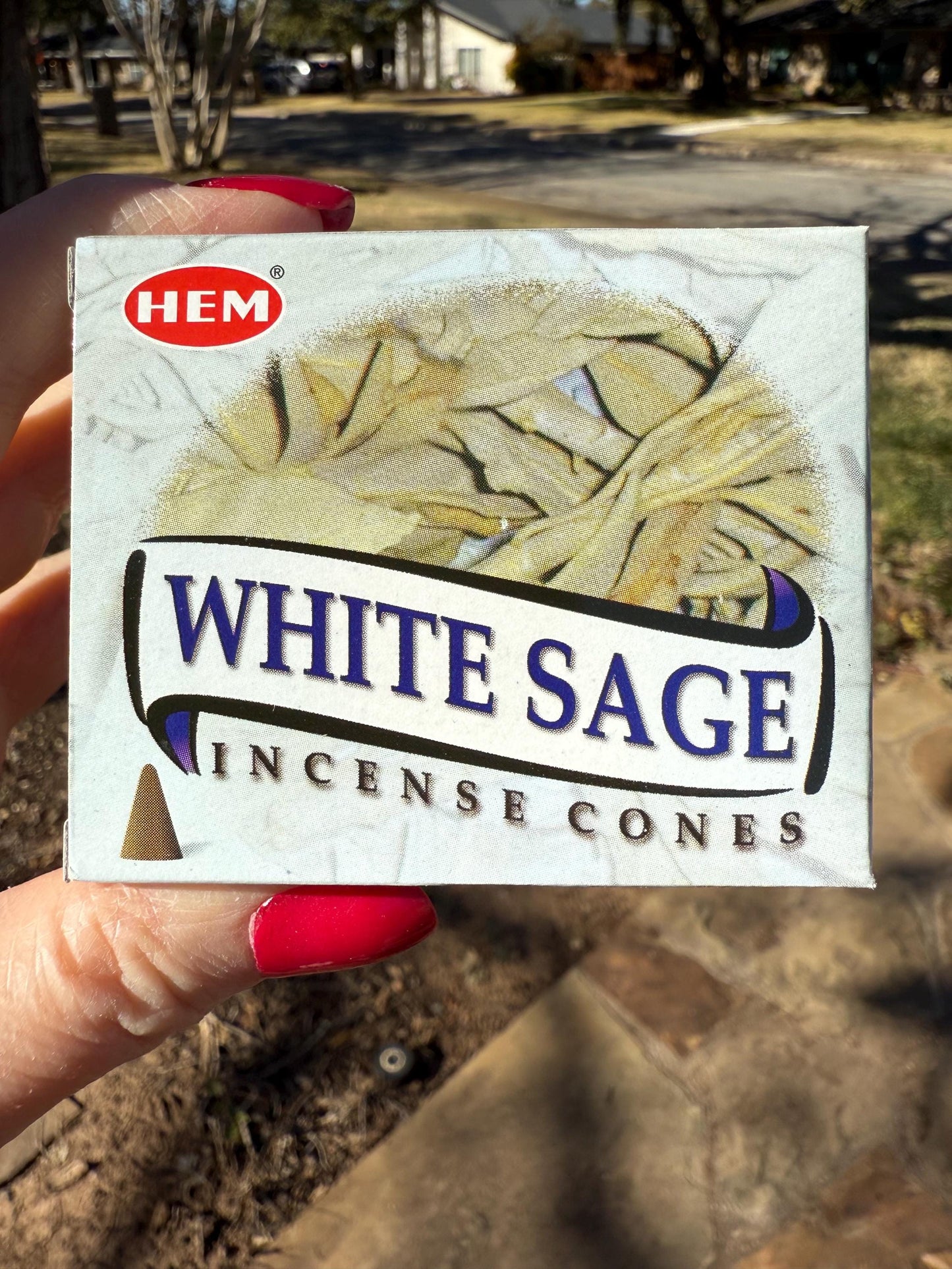 White Sage Incense cones, temple incense, crystal healing, scent, gift, 10 cones
