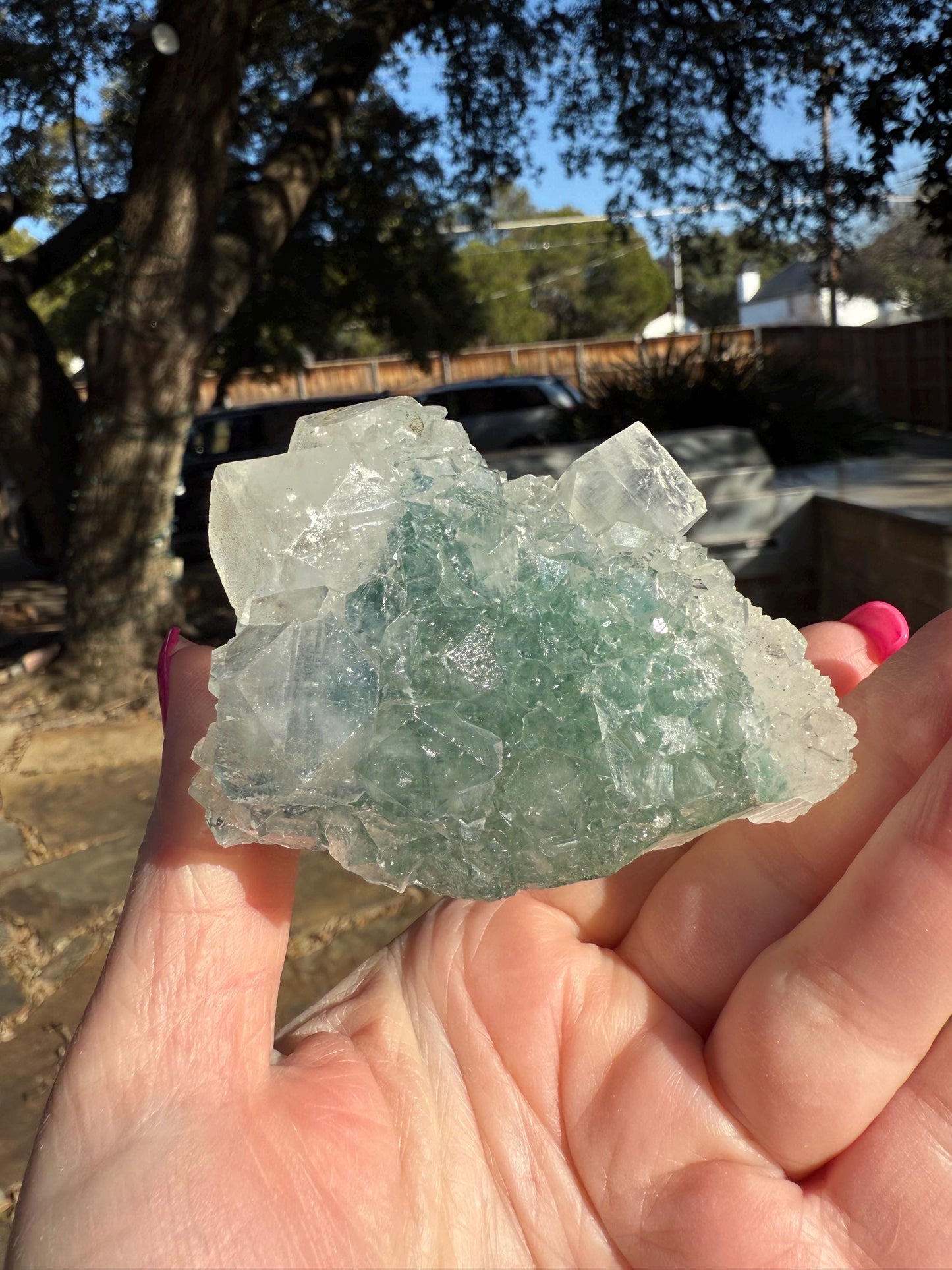 Apophyllite Fairy Rosette Bed with points like diamonds, new, high vibration crystals, gifts, altar, 3.5”