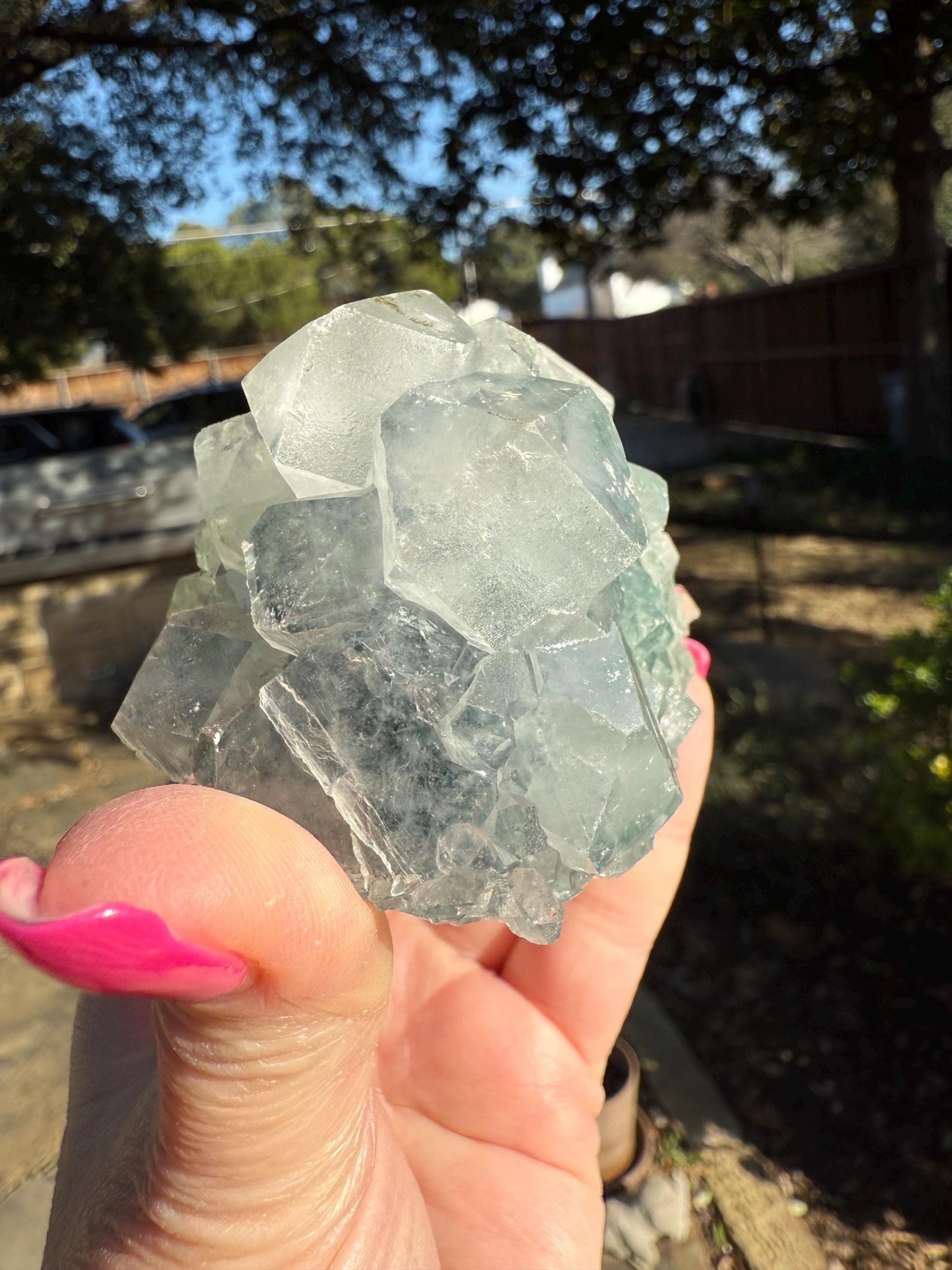 Apophyllite Fairy Rosette Bed with points like diamonds, new, high vibration crystals, gifts, altar, 3.5”