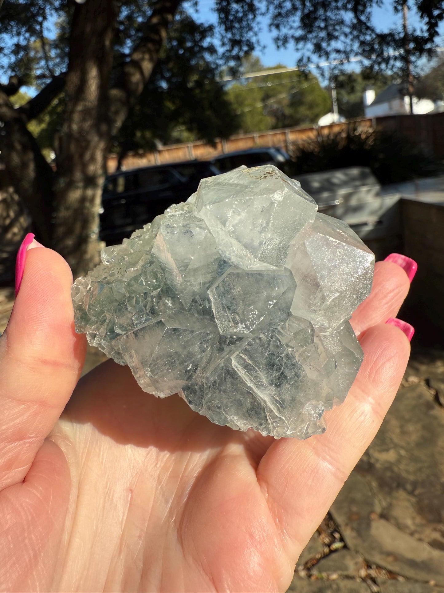 Apophyllite Fairy Rosette Bed with points like diamonds, new, high vibration crystals, gifts, altar, 3.5”