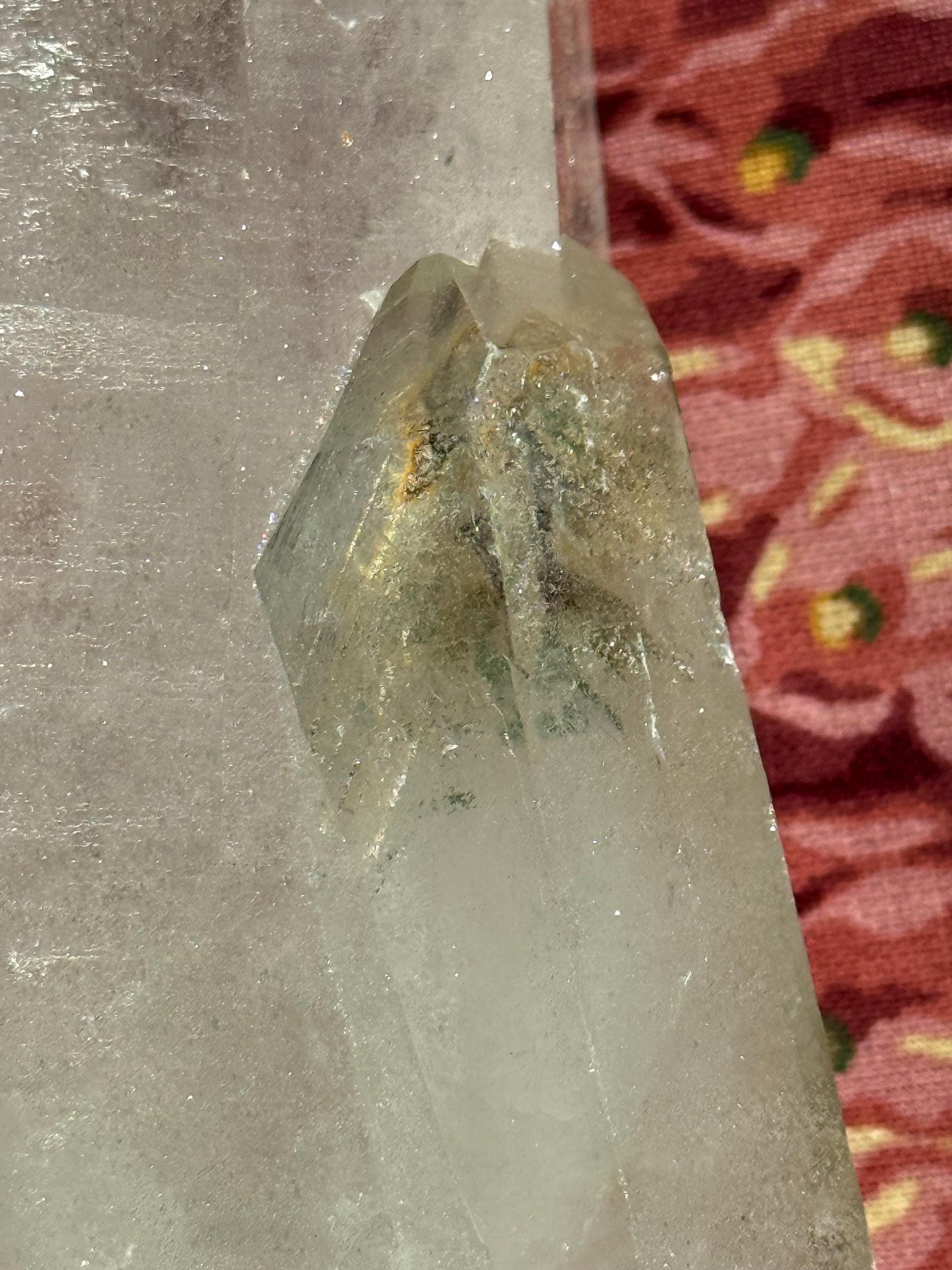 Private Collection Starbrary Lemurian Statement Piece Bed, Rare, gift, 9”, crystal healing, high vibration crystals