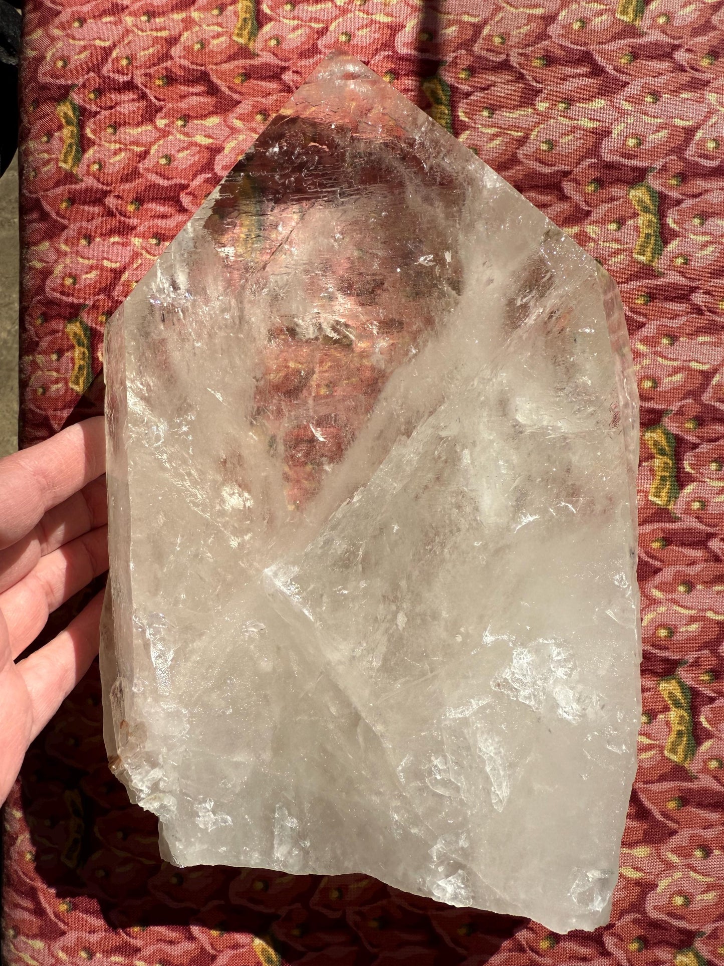 Private Collection Starbrary Lemurian Statement Piece Bed, Rare, gift, 9”, crystal healing, high vibration crystals