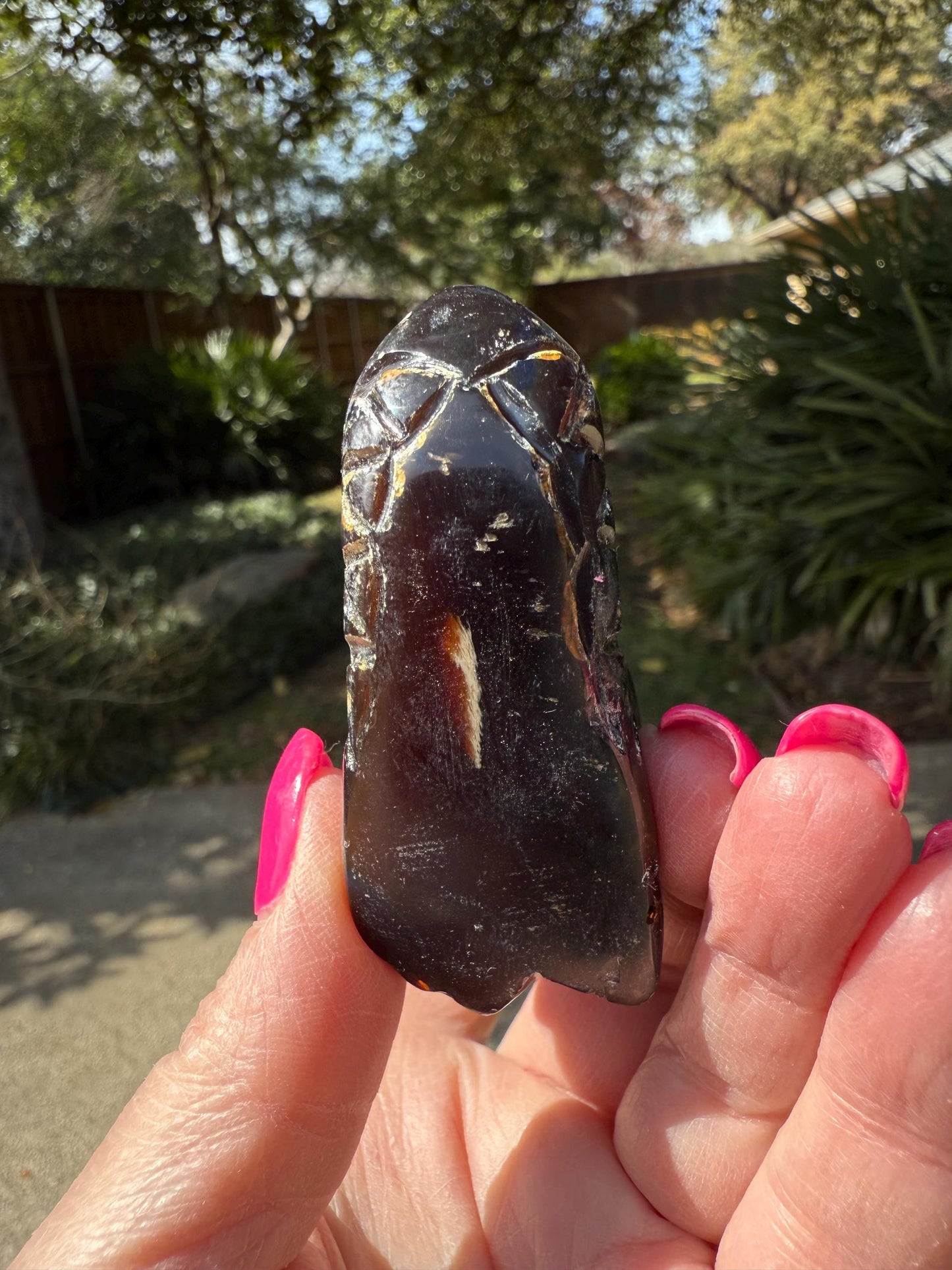 Amber Dragon Skull 2.75”, New, Crystal Healing, High Vibration Crystals, altar, gift, authentic amber
