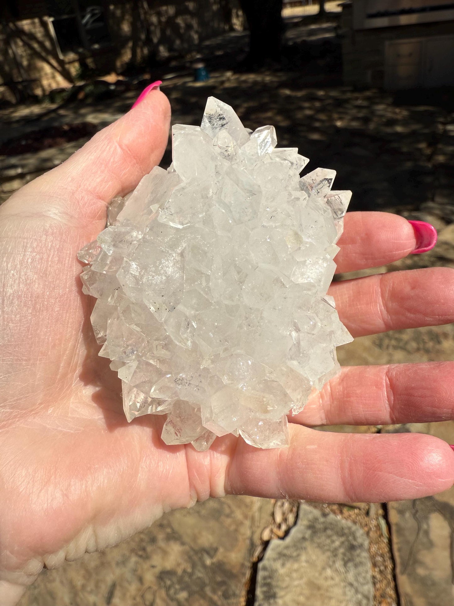 Apophyllite Fairy Hedgehog Rosette Bed with points like diamonds, new, high vibration crystals, gifts, altar, 3.5”