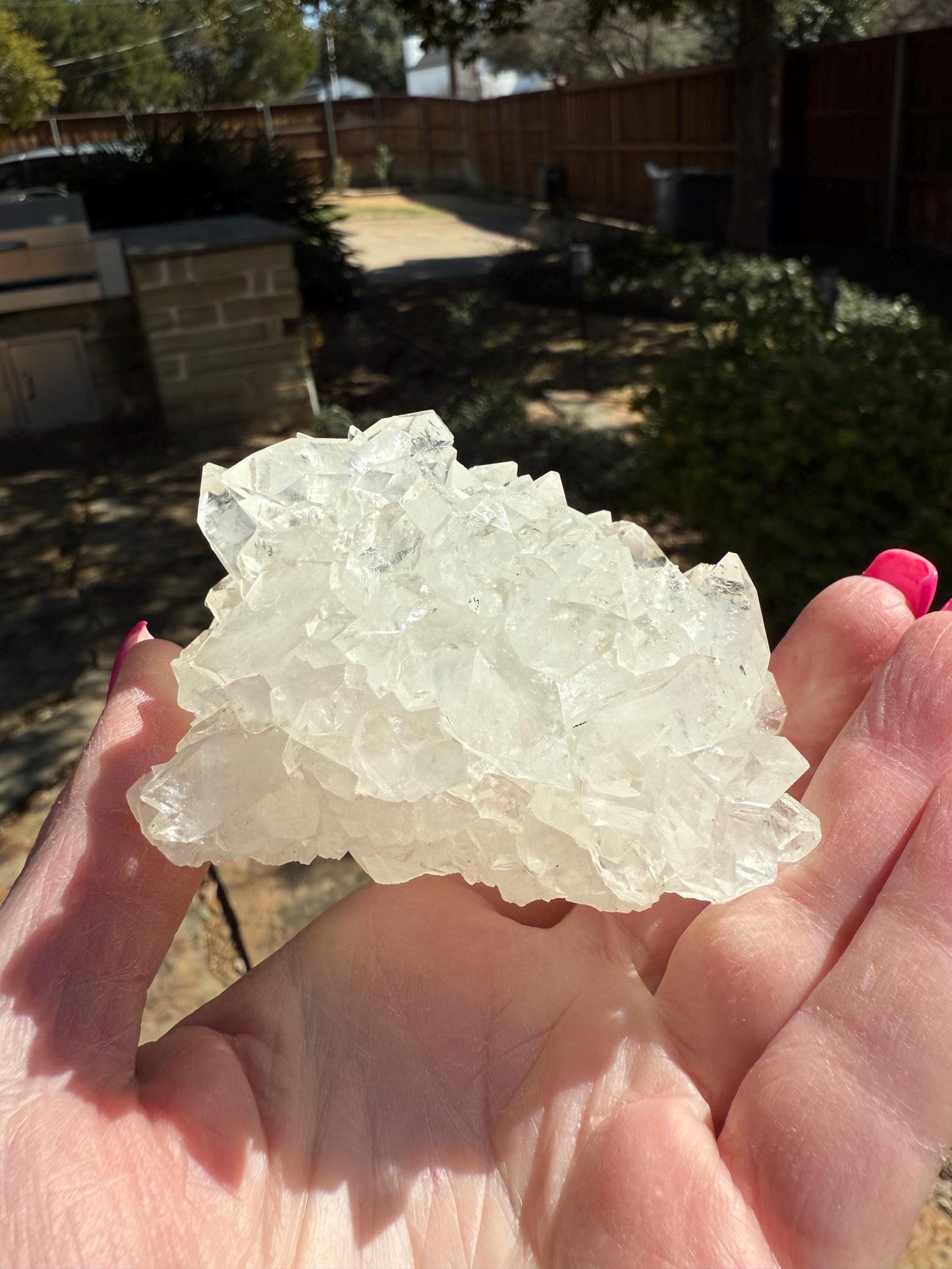Apophyllite Fairy Hedgehog Rosette Bed with points like diamonds, new, high vibration crystals, gifts, altar, 3.5”