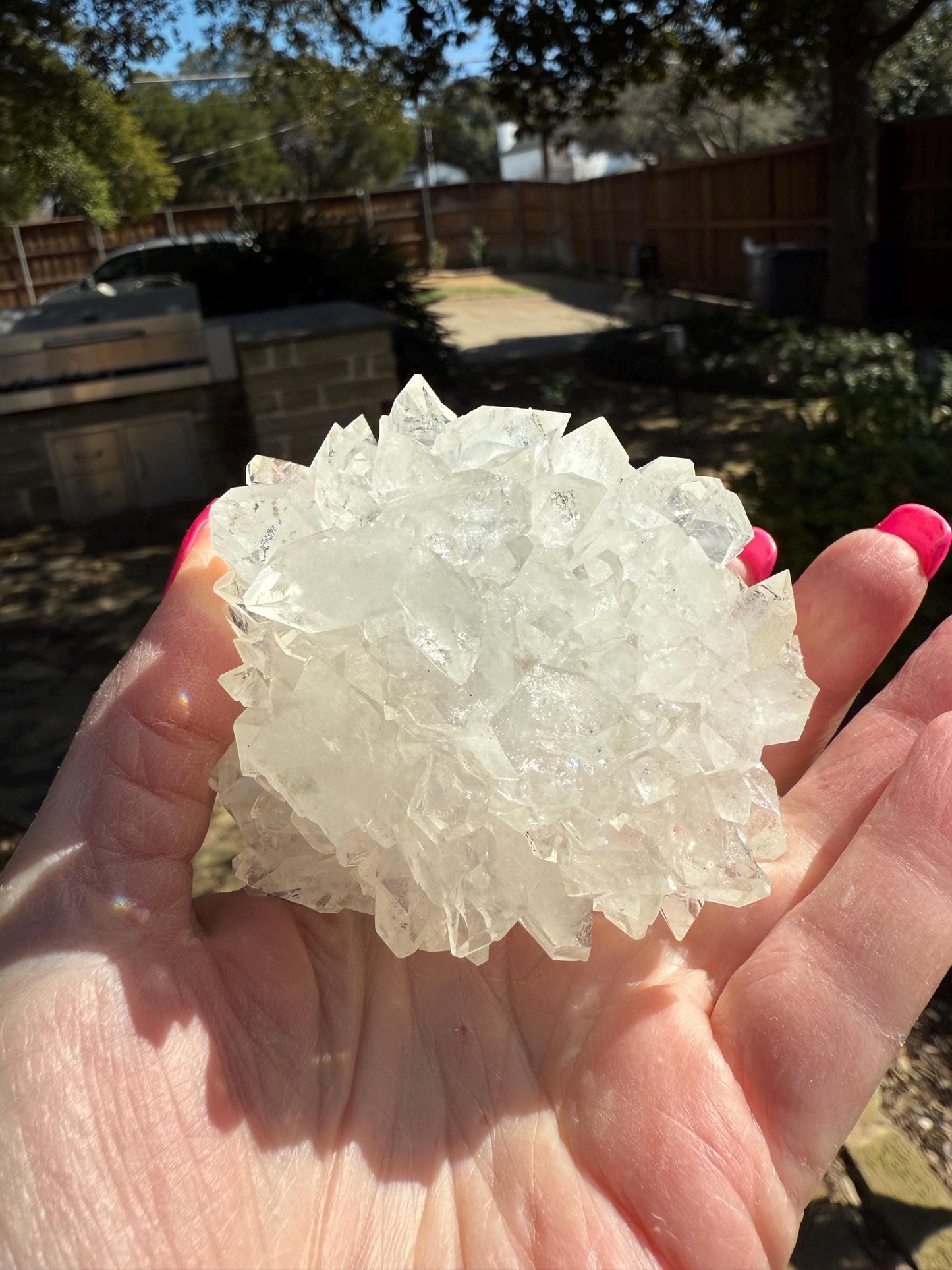 Apophyllite Fairy Hedgehog Rosette Bed with points like diamonds, new, high vibration crystals, gifts, altar, 3.5”