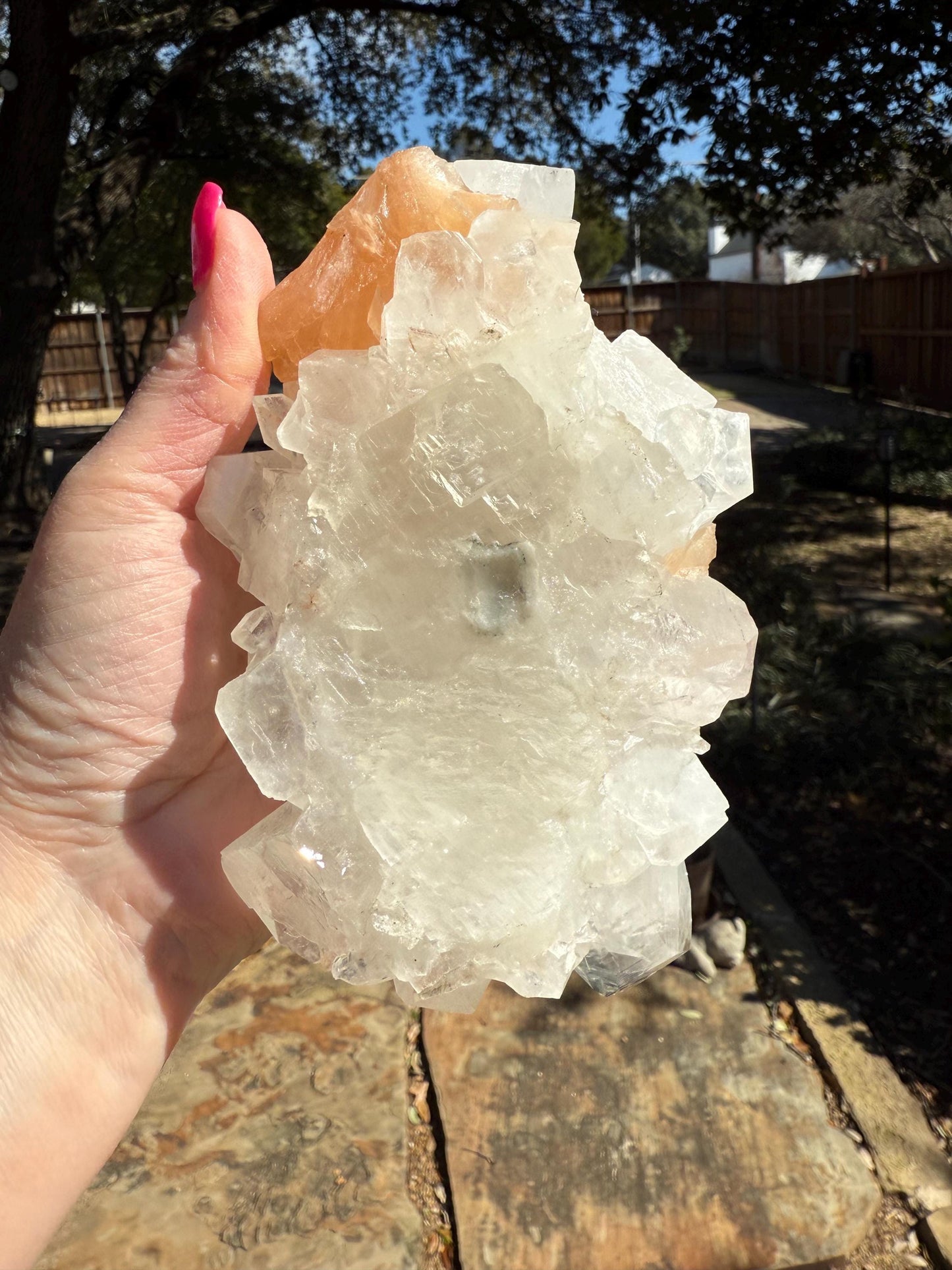 Extra Large Apophyllite Fairy Bed with points like diamonds, peach stilbite, new, high vibration crystals, gift, altar, 6.25”