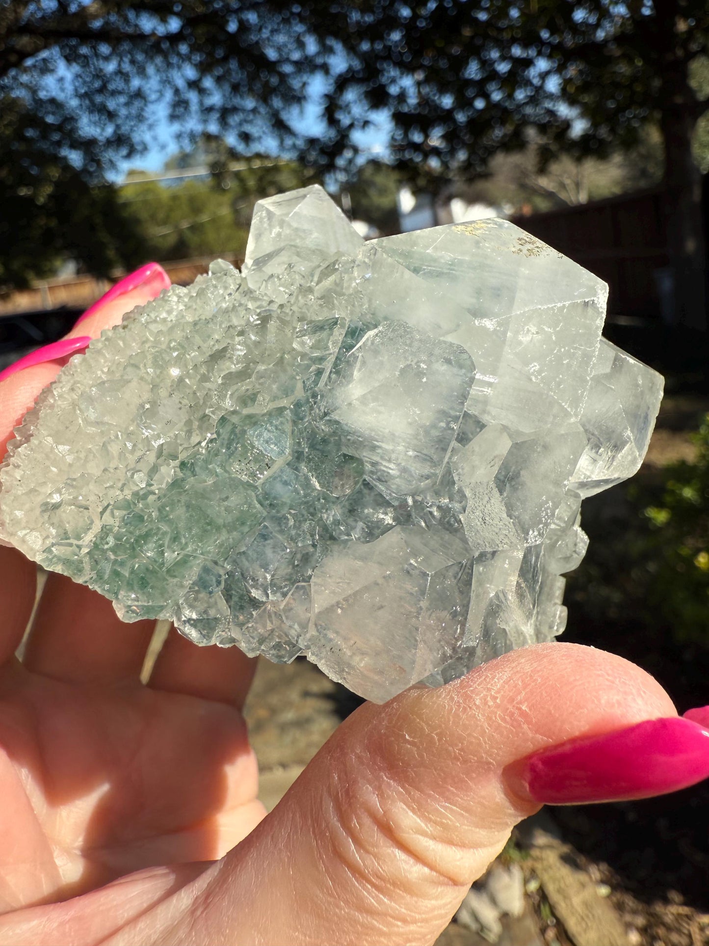 Apophyllite Fairy Rosette Bed with points like diamonds, new, high vibration crystals, gifts, altar, 3.5”