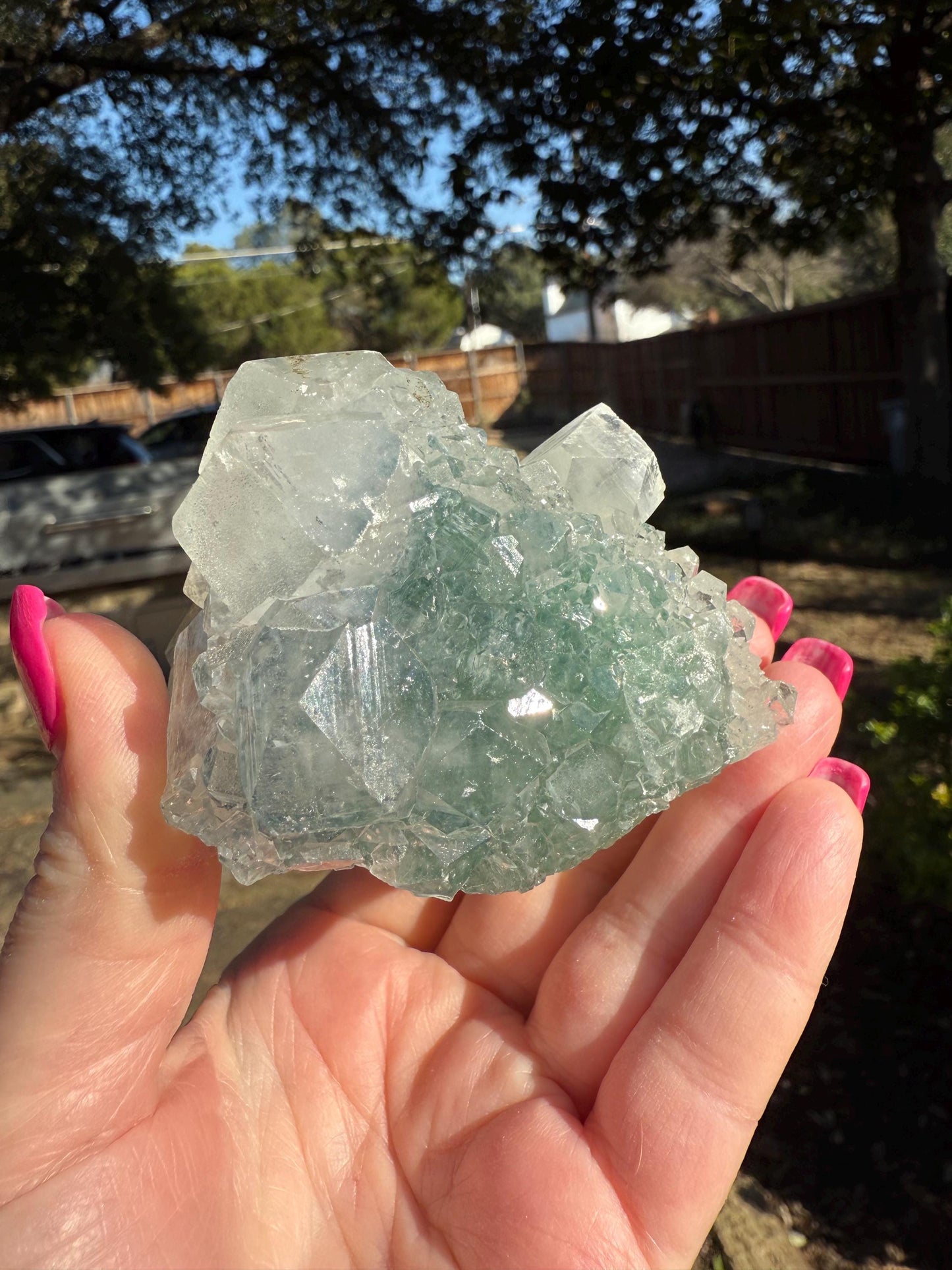 Apophyllite Fairy Rosette Bed with points like diamonds, new, high vibration crystals, gifts, altar, 3.5”