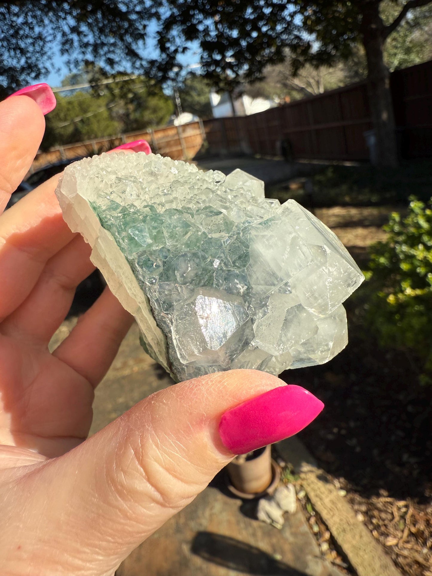 Apophyllite Fairy Rosette Bed with points like diamonds, new, high vibration crystals, gifts, altar, 3.5”