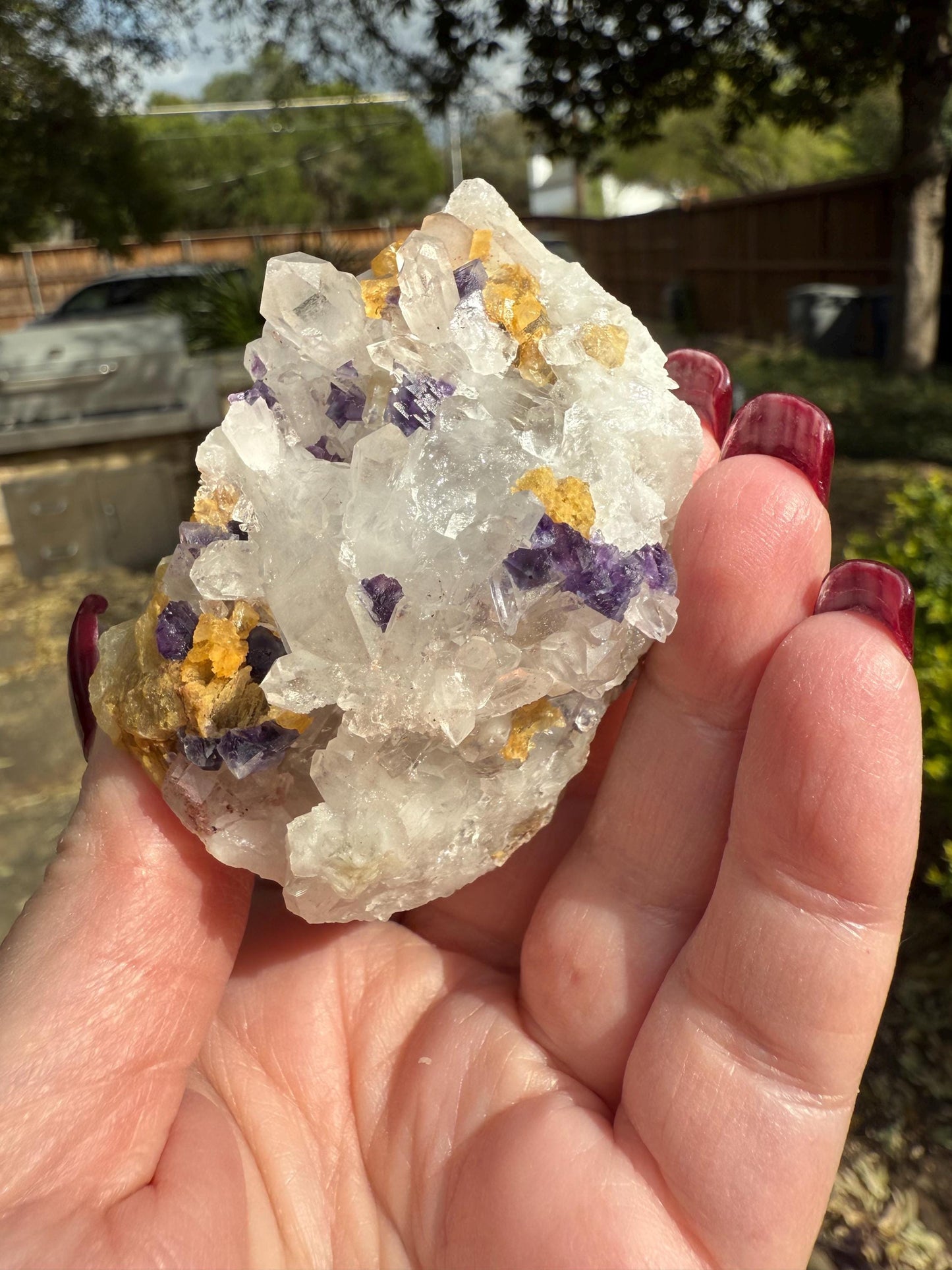 Quartz points with fluorite, Rare, Premium crystals, 2.5”