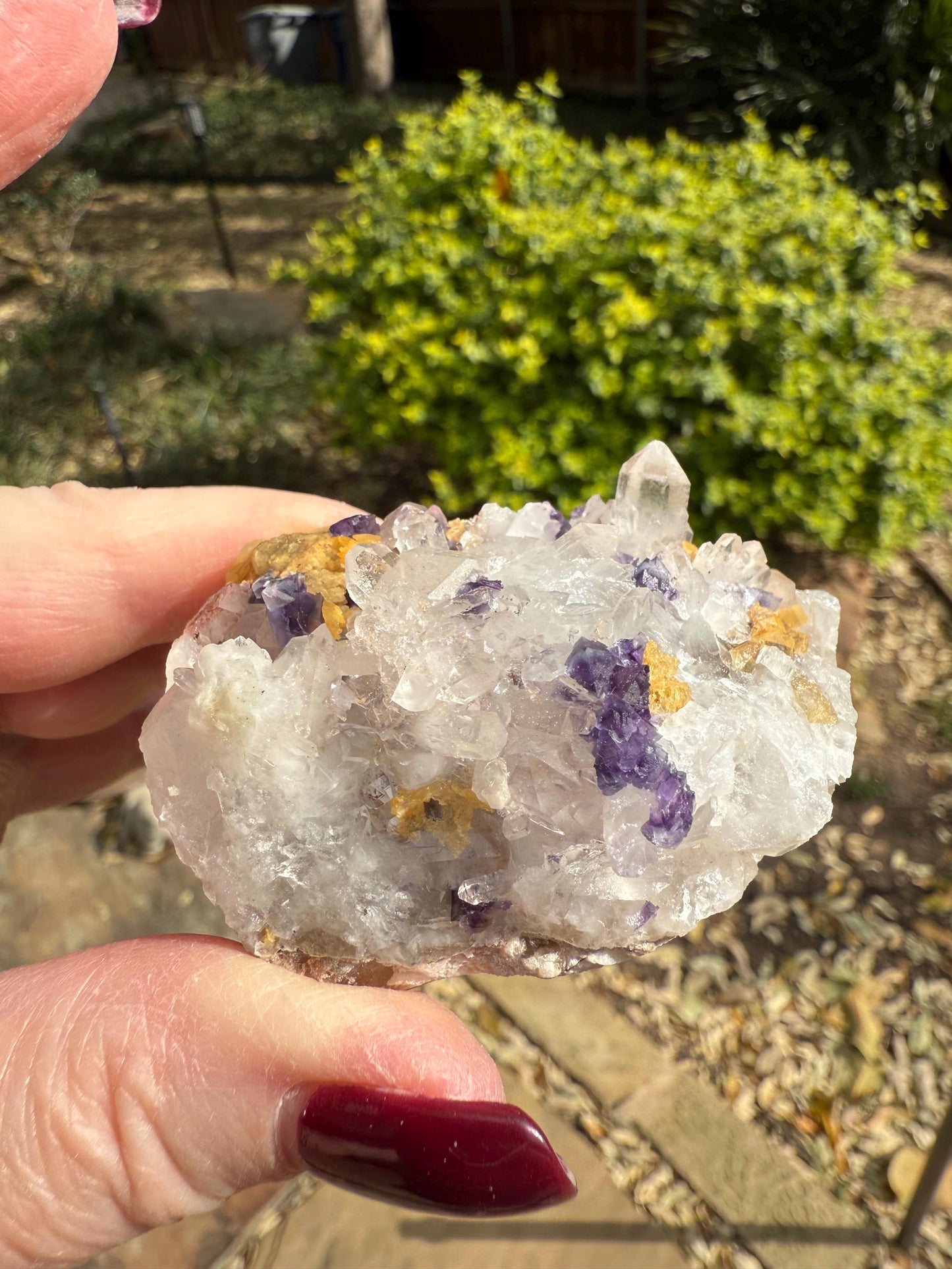 Quartz points with fluorite, Rare, Premium crystals, 2.5”
