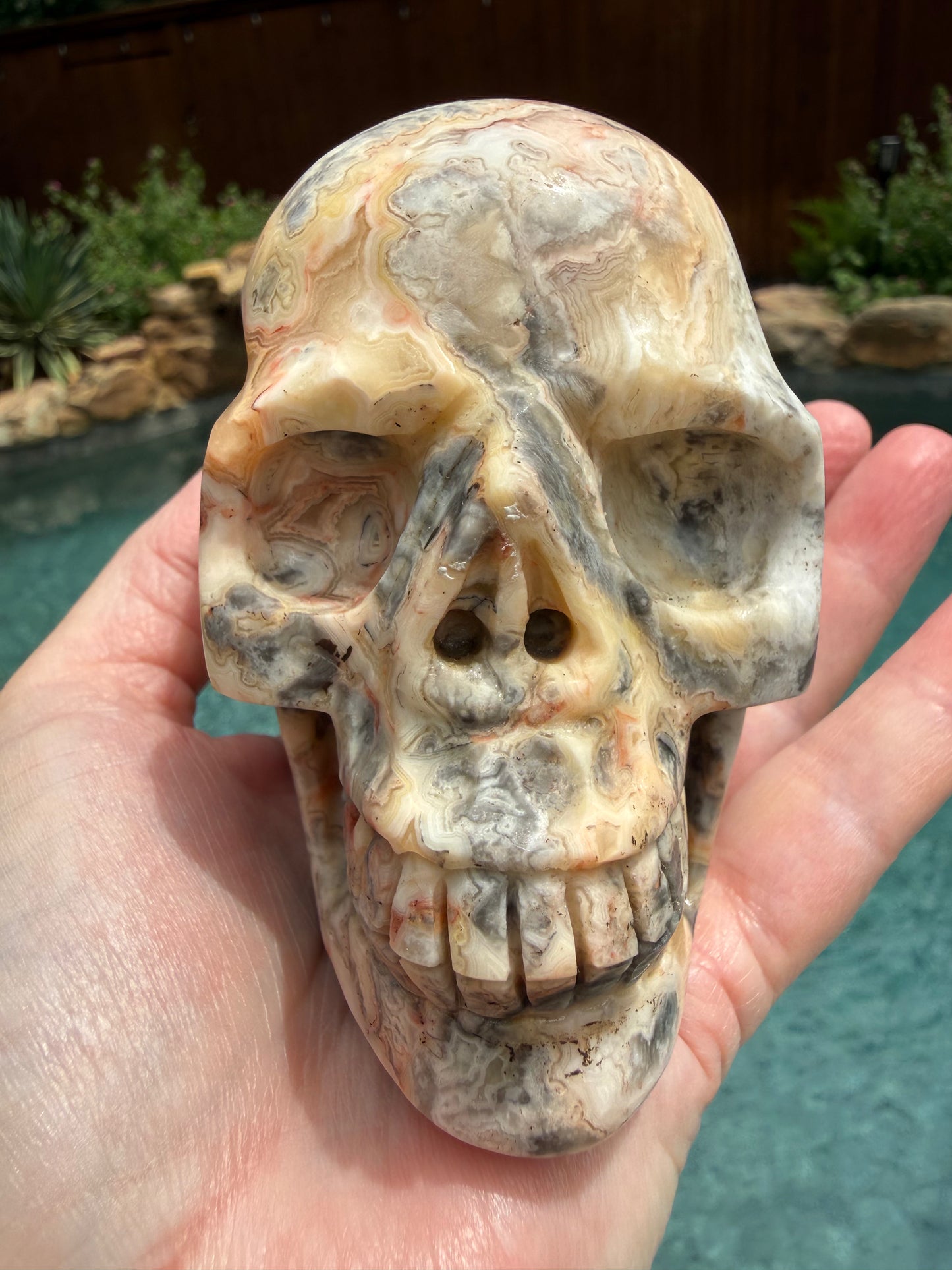 Crazy Lace Agate 4” Skull, rare authentic carving, high vibration