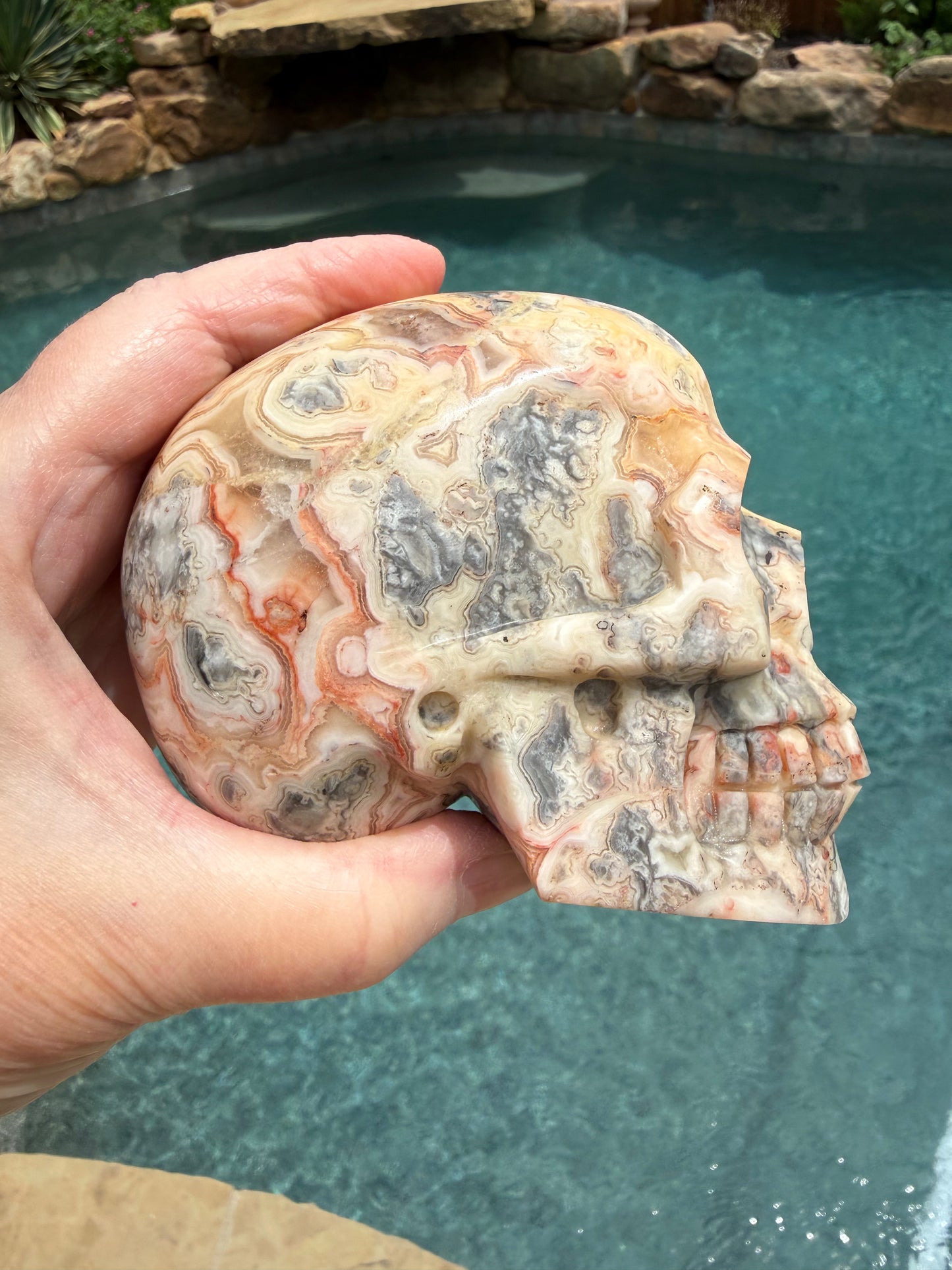 Crazy Lace Agate 4” Skull, rare authentic carving, high vibration