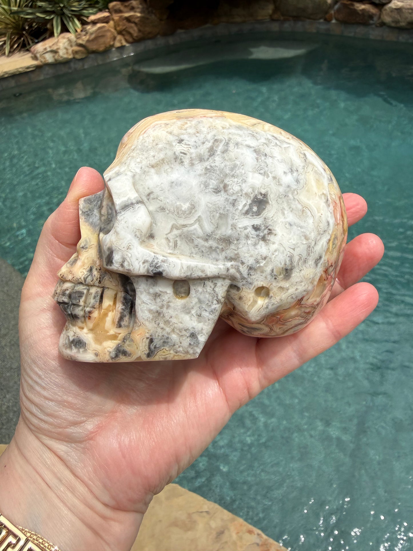 Crazy Lace Agate 4” Skull, rare authentic carving, high vibration