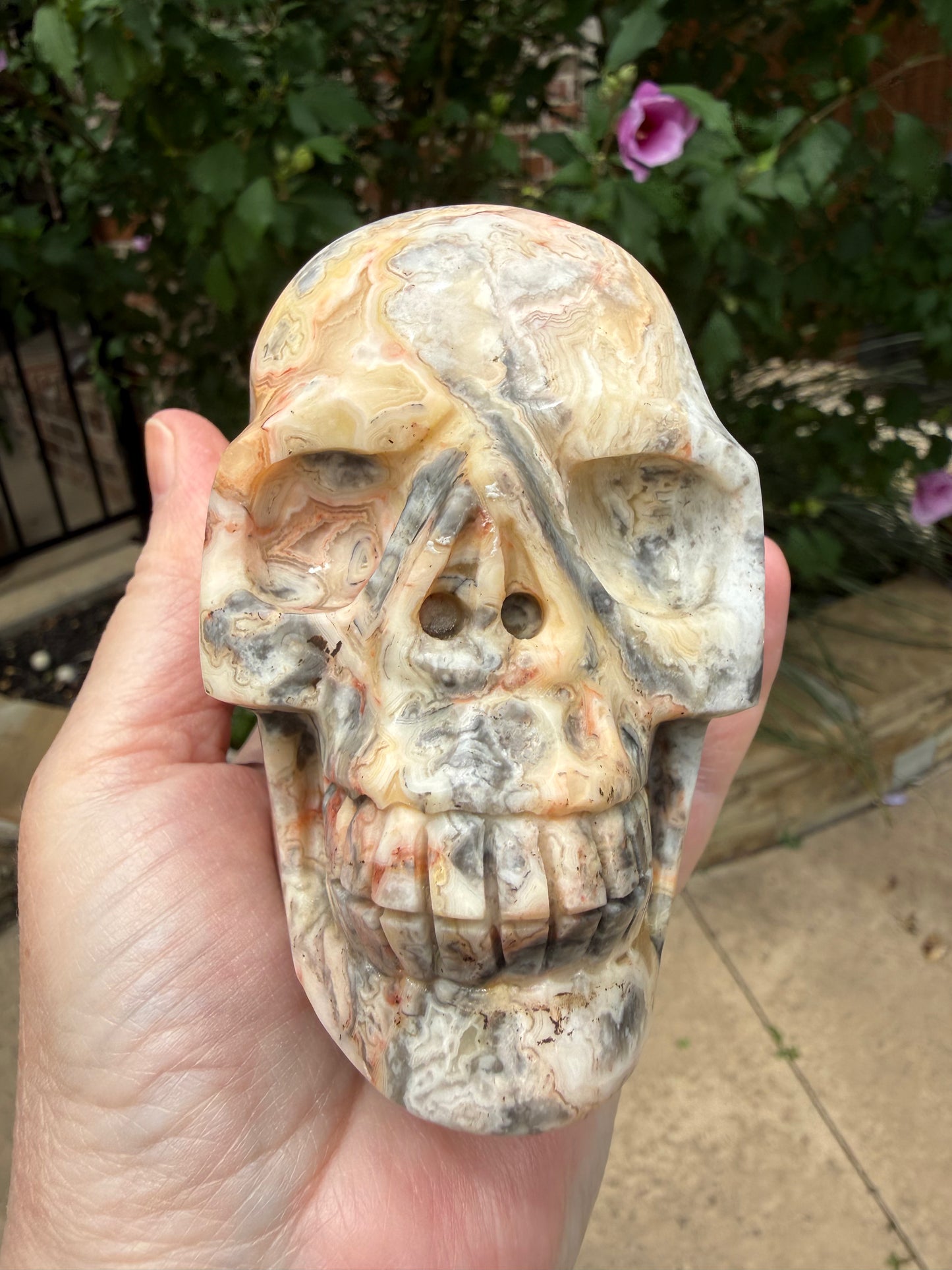 Crazy Lace Agate 4” Skull, rare authentic carving, high vibration