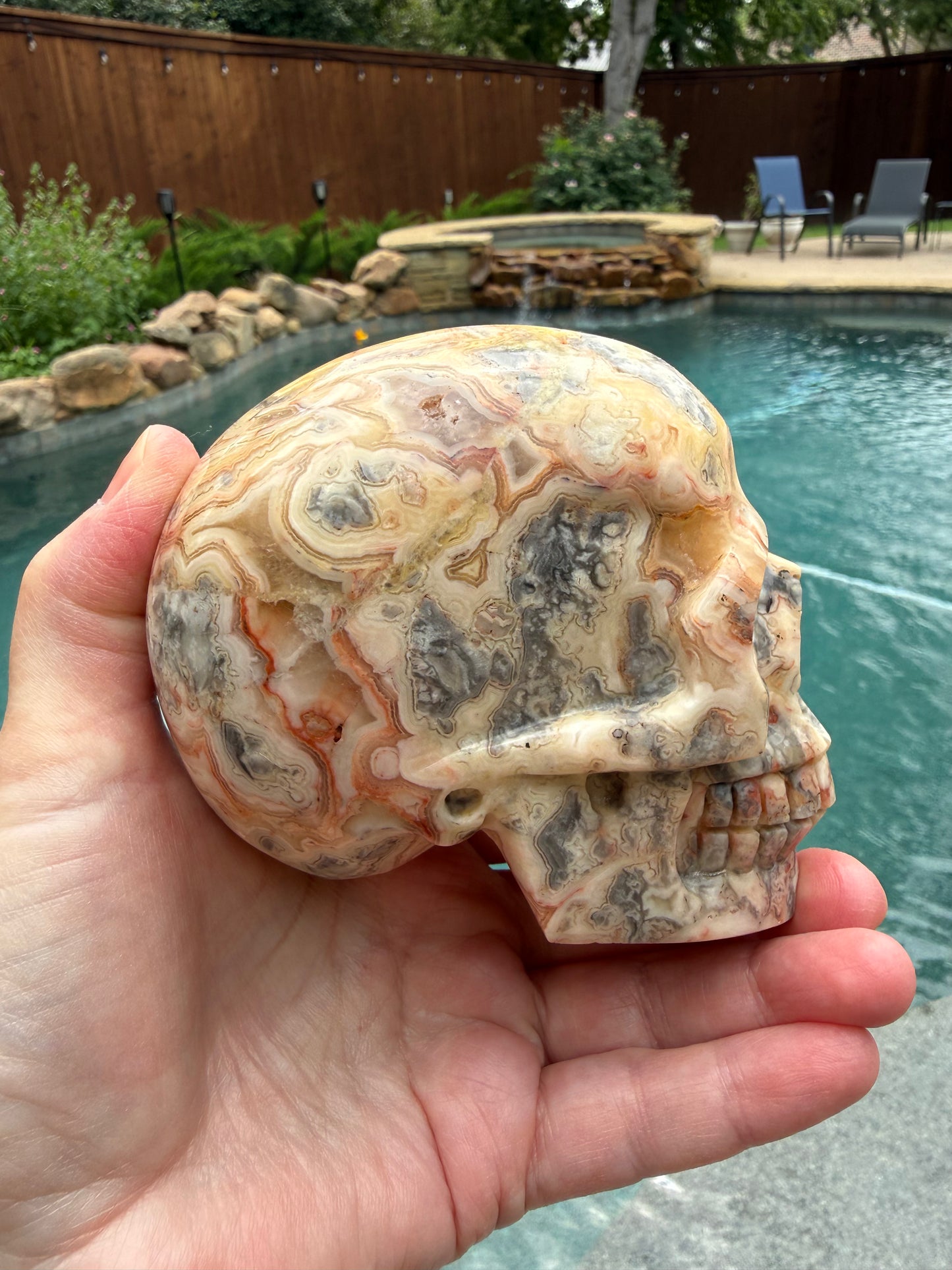Crazy Lace Agate 4” Skull, rare authentic carving, high vibration