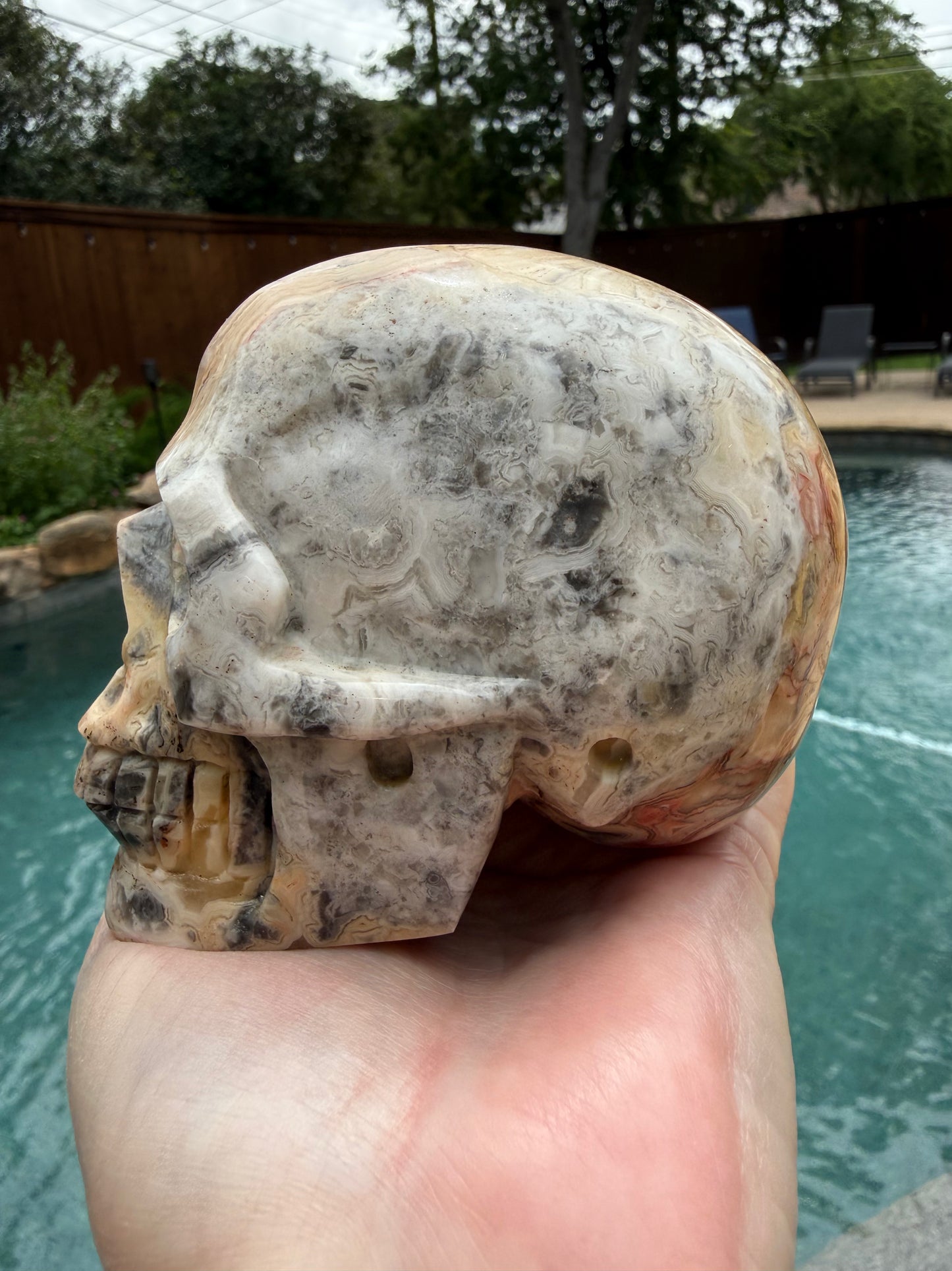 Crazy Lace Agate 4” Skull, rare authentic carving, high vibration