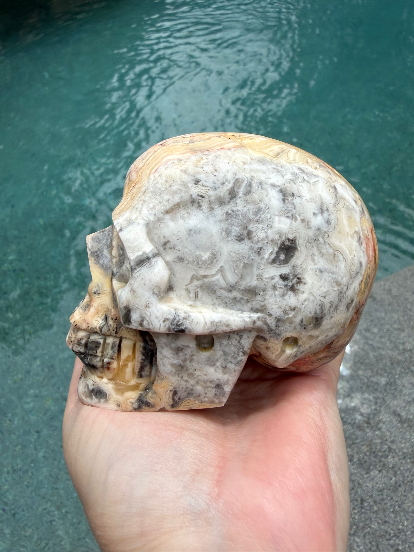 Crazy Lace Agate 4” Skull, rare authentic carving, high vibration