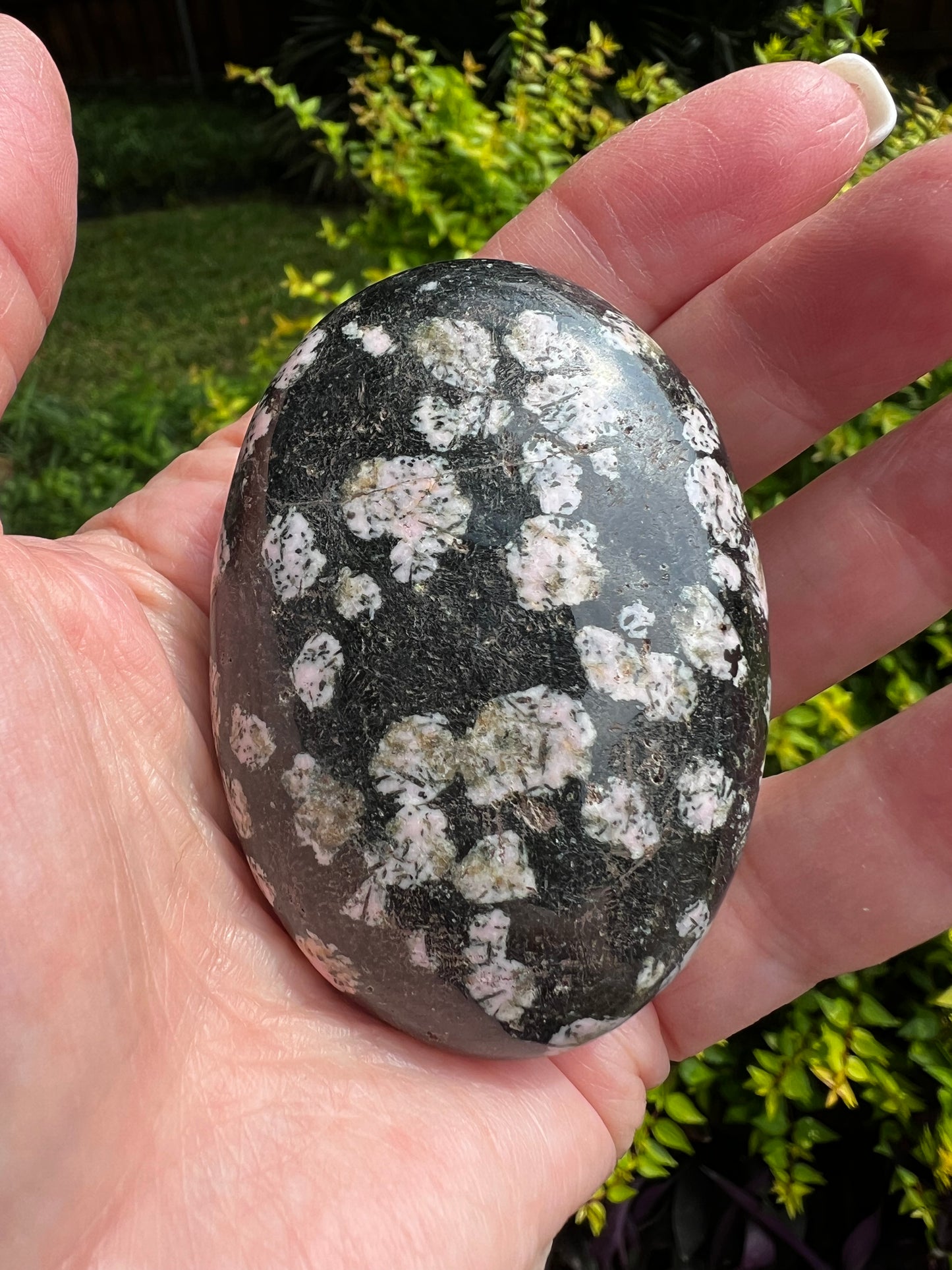 Snowflake Obsidian Palm 2.5”