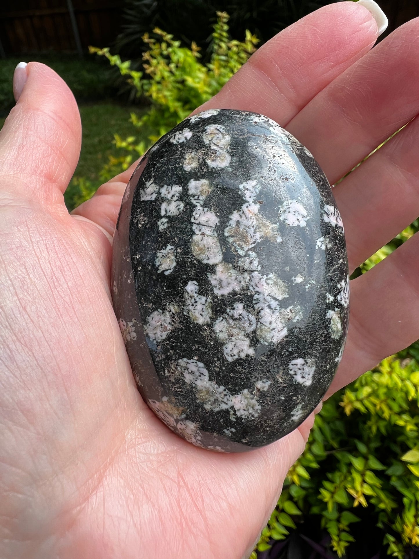 Snowflake Obsidian Palm 2.5”