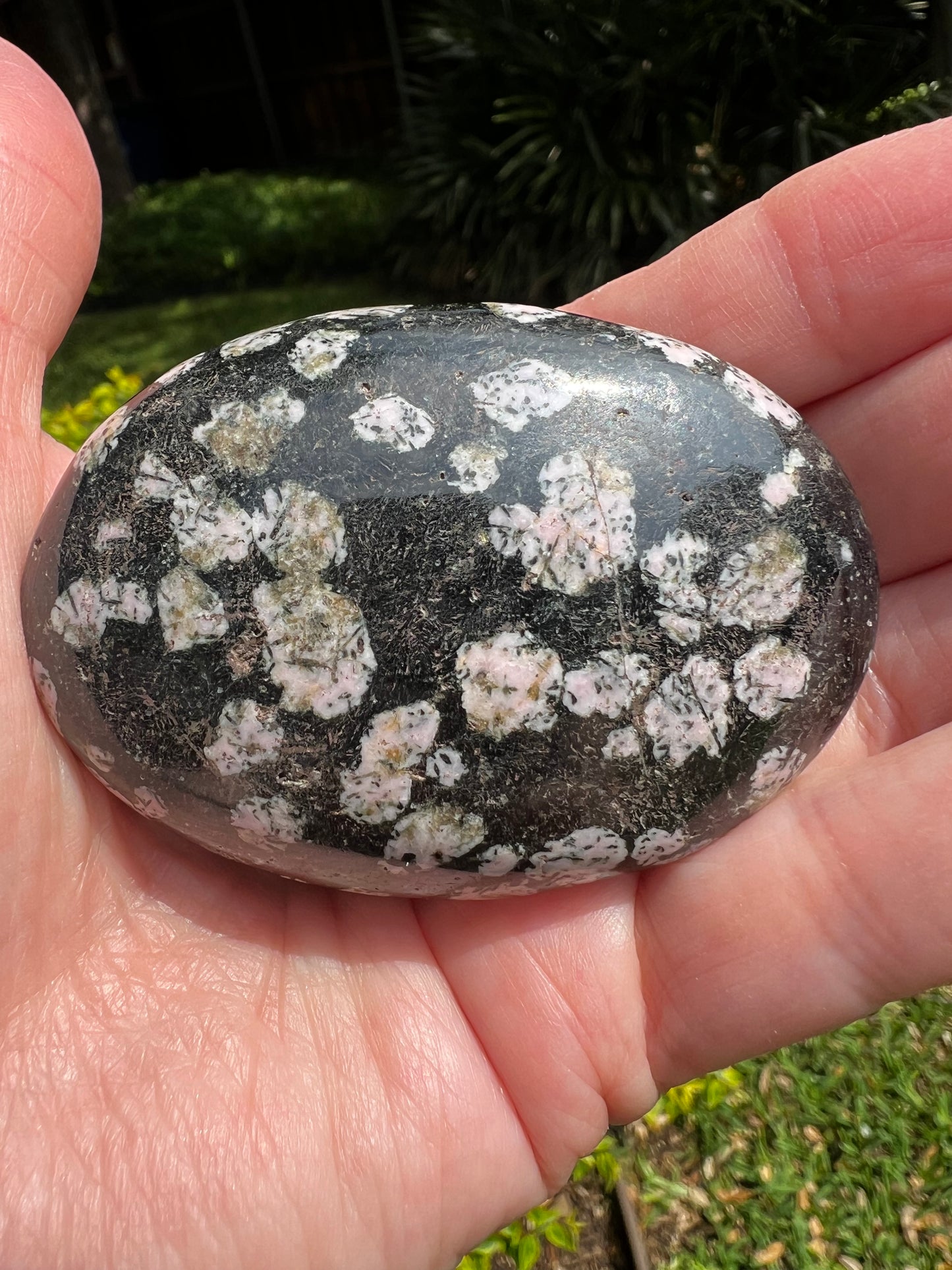 Snowflake Obsidian Palm 2.5”