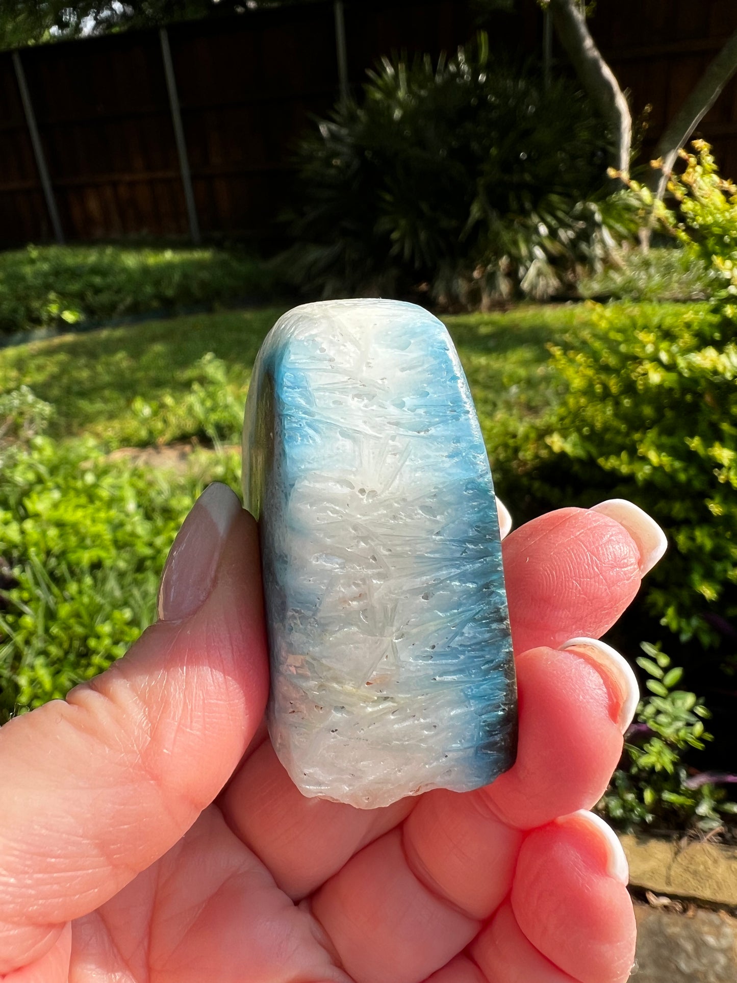 Nakauriite Palm, Blue Ice, Glacierite