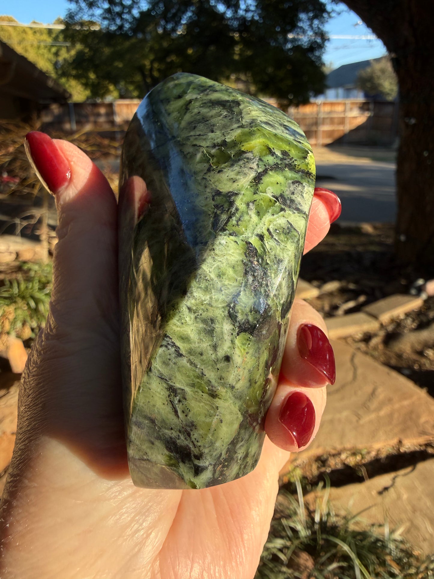 Jungle Jade Flame, Exquisite, approx 4.25”, gift, new in shop, healing crystals