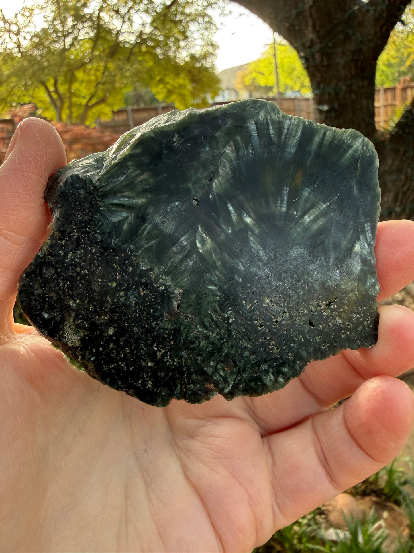 Seraphinite slice 3.25”, rare, beautiful with wings