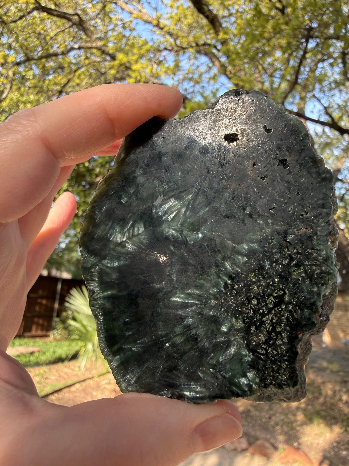 Seraphinite slice 3.25”, rare, beautiful with wings