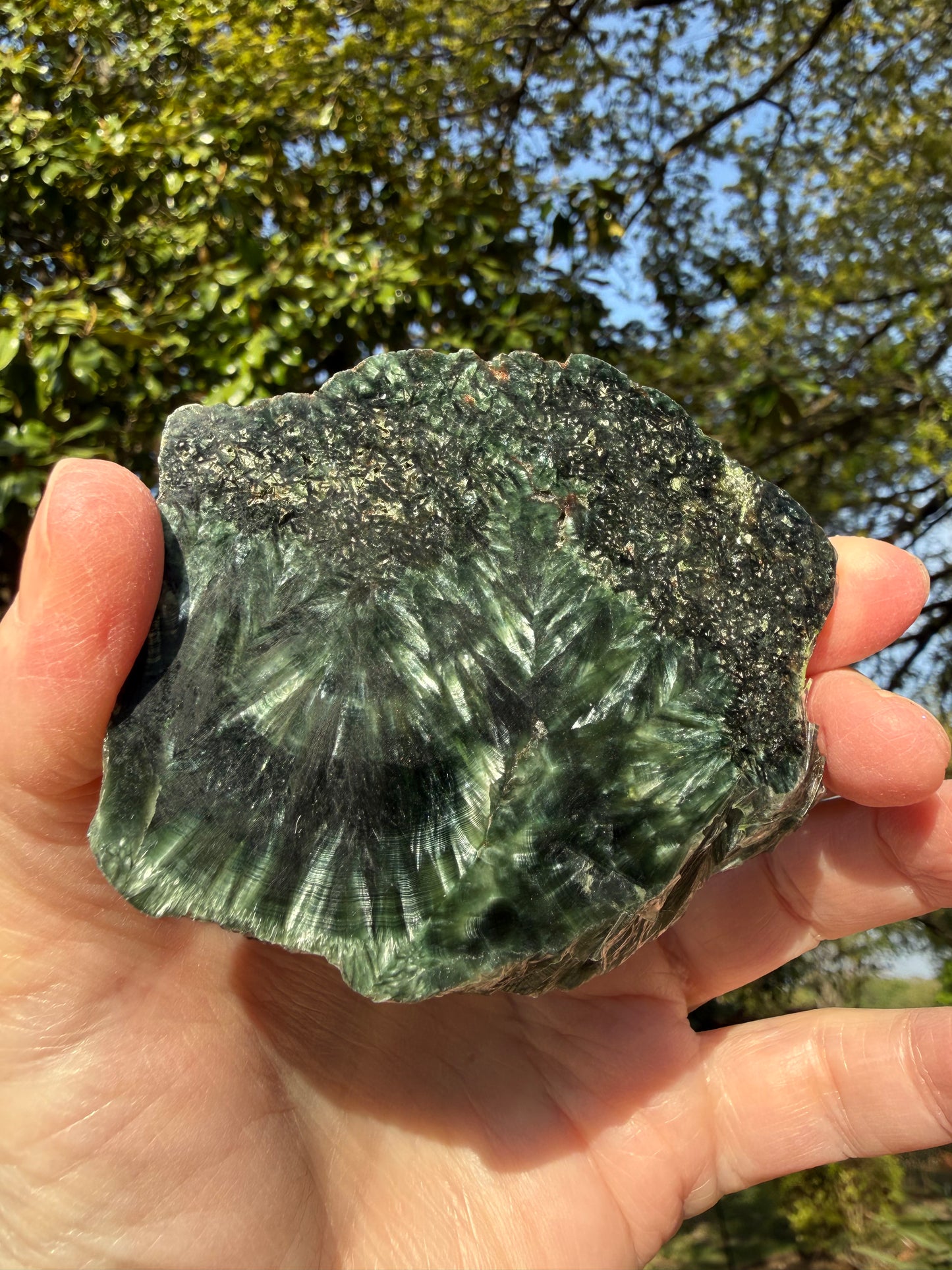 Seraphinite slice 3.25”, rare, beautiful with wings