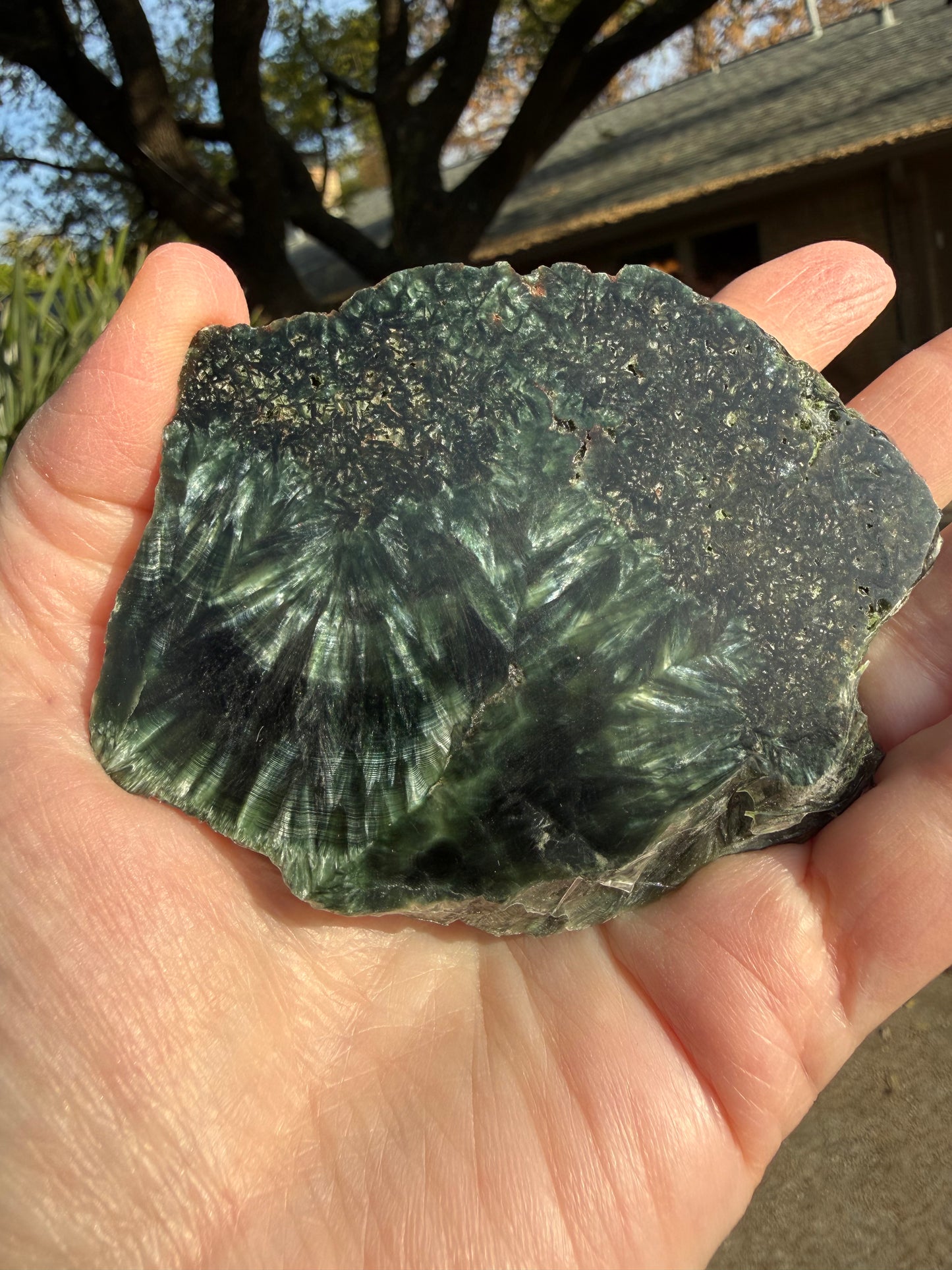 Seraphinite slice 3.25”, rare, beautiful with wings