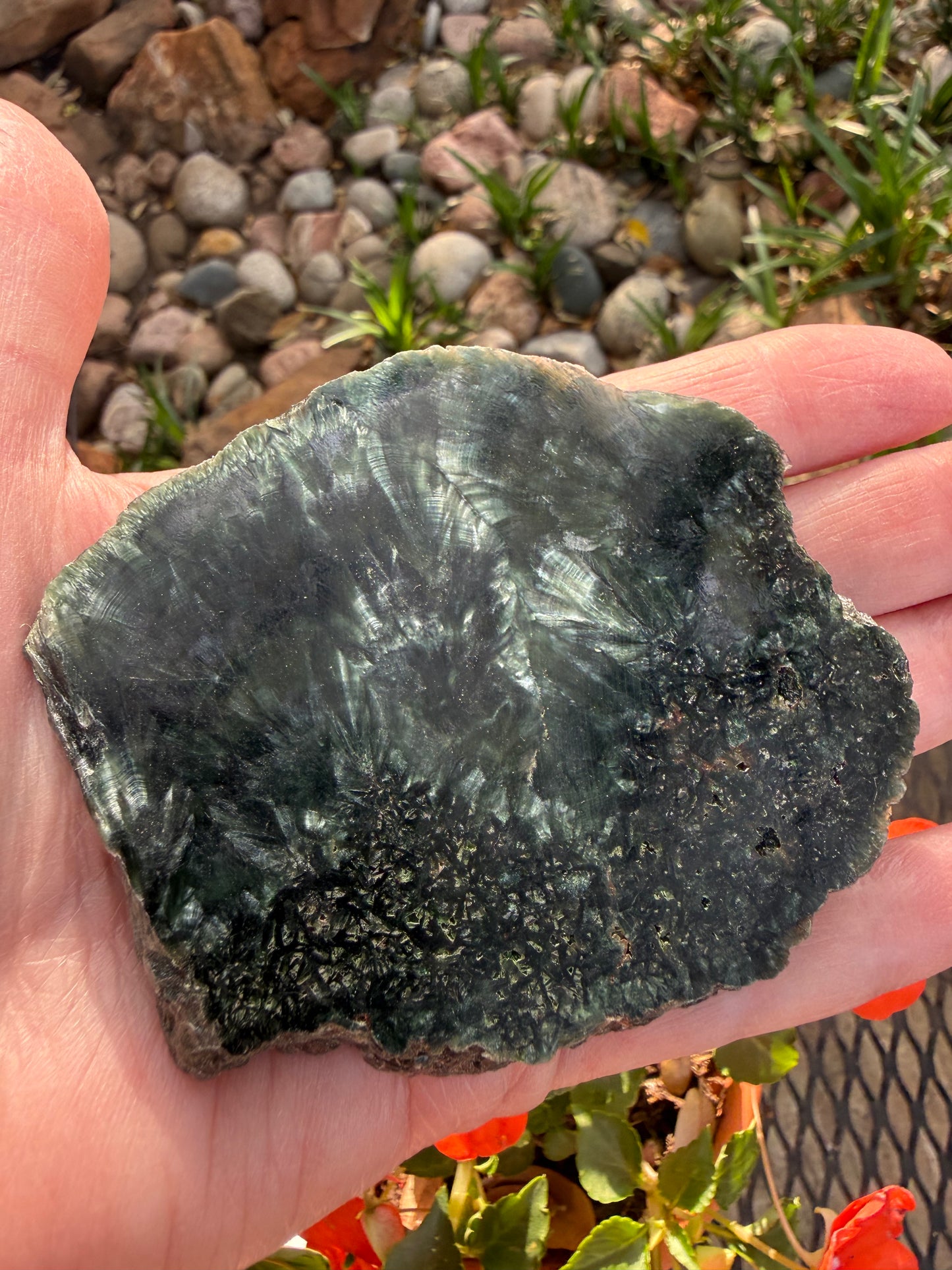 Seraphinite slice 3.25”, rare, beautiful with wings